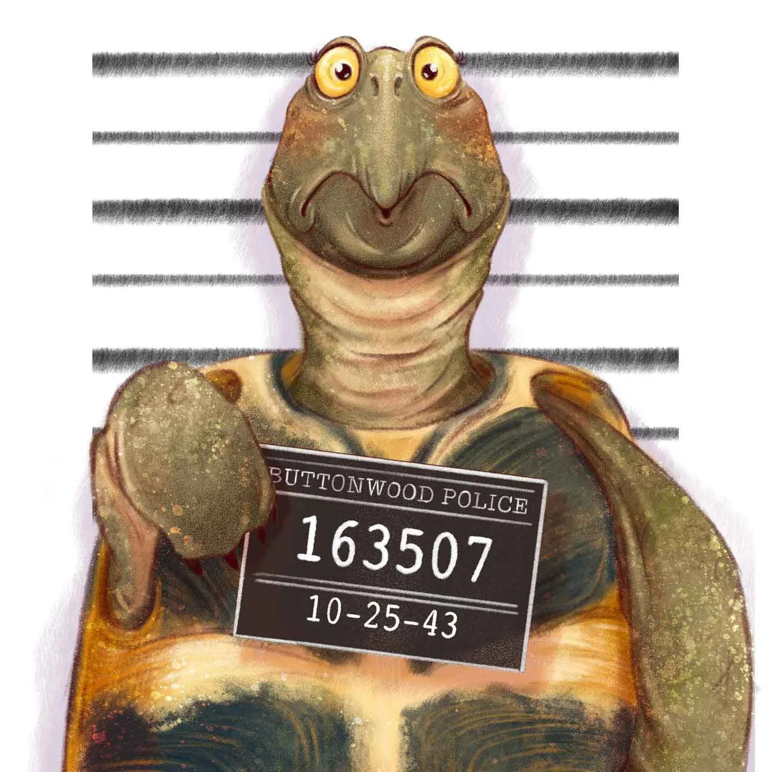 Mugshot of a surprised tortoise