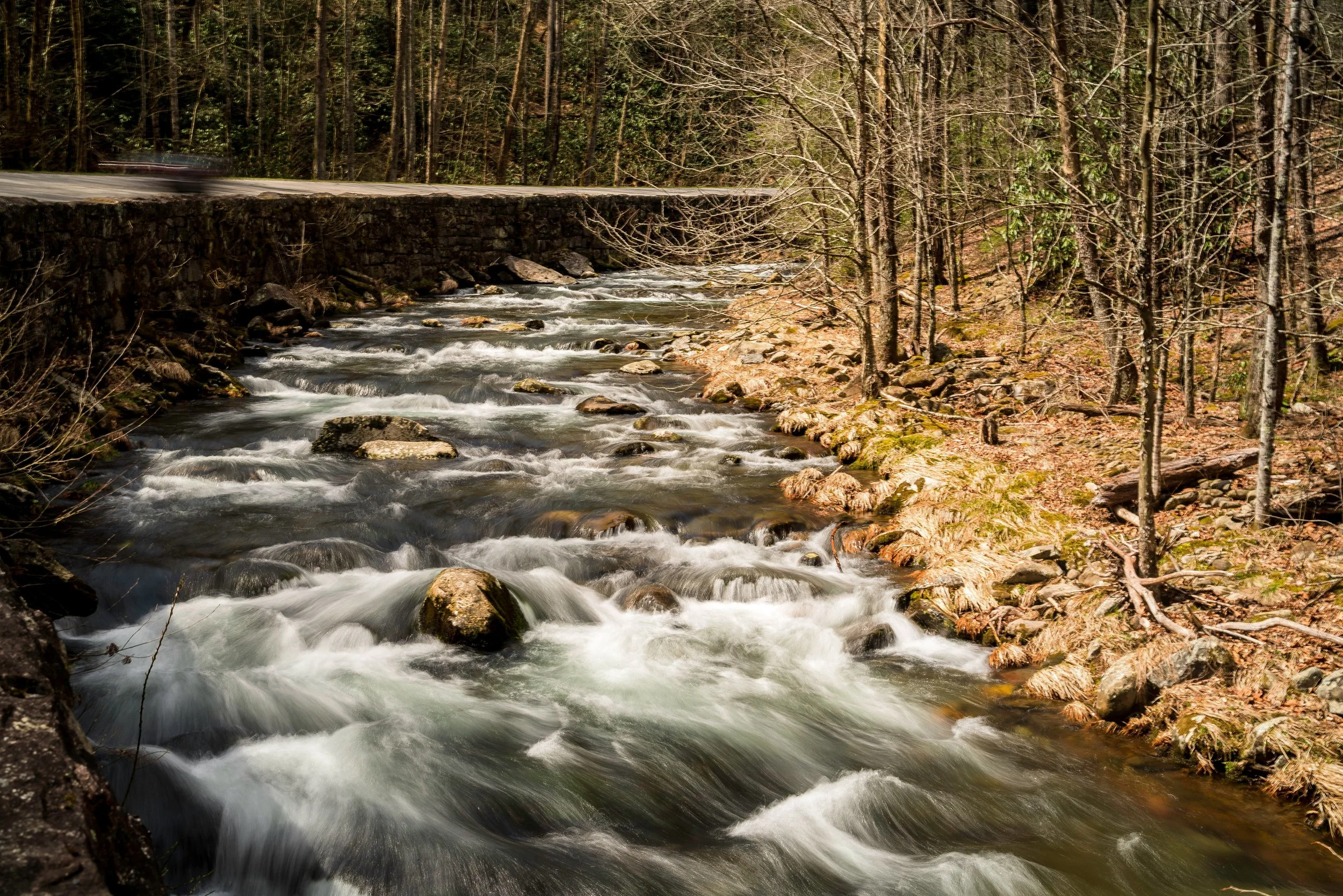 The Importance of Slowing Down: How Small Changes Can Create Big Benefits