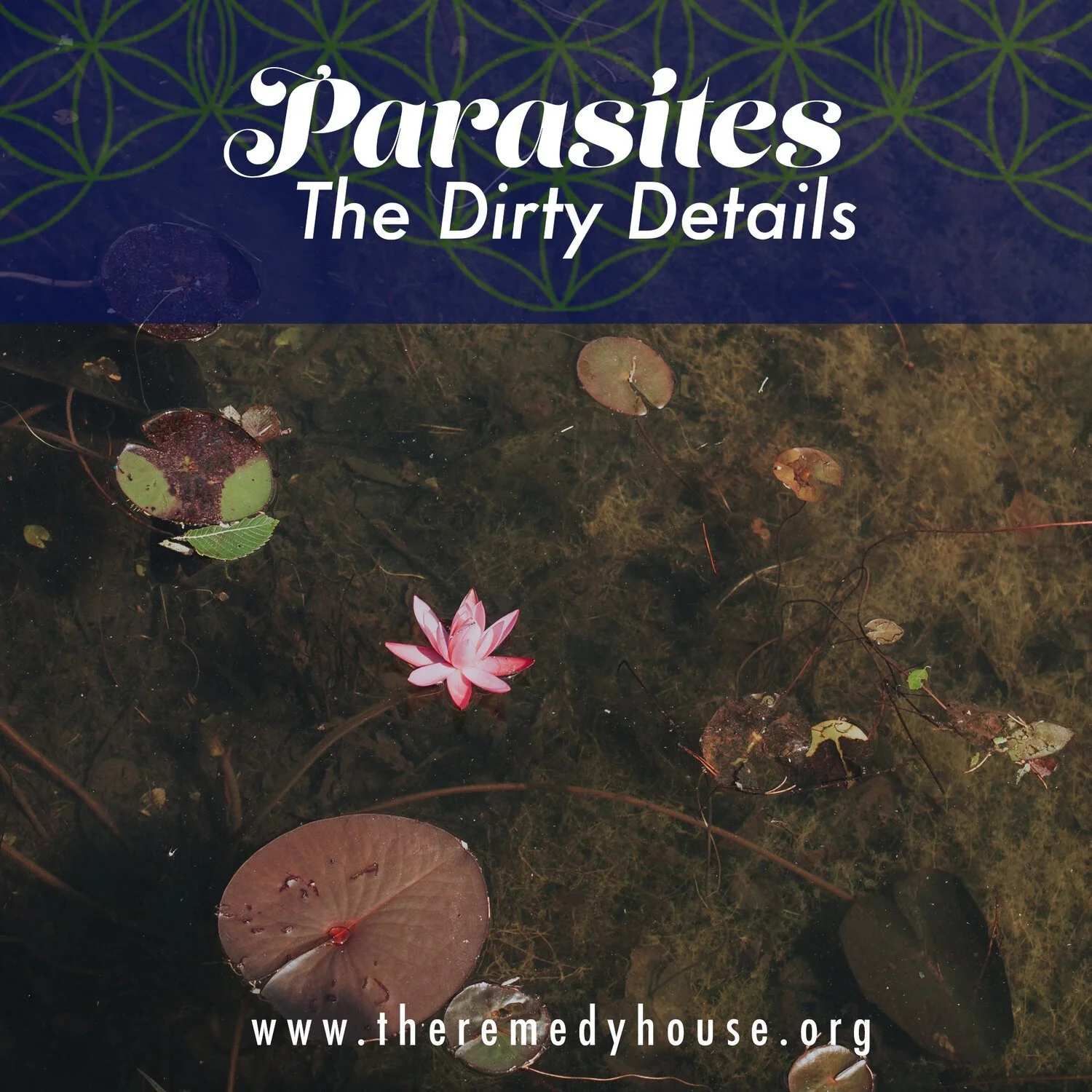 Parasites: The Dirty Details