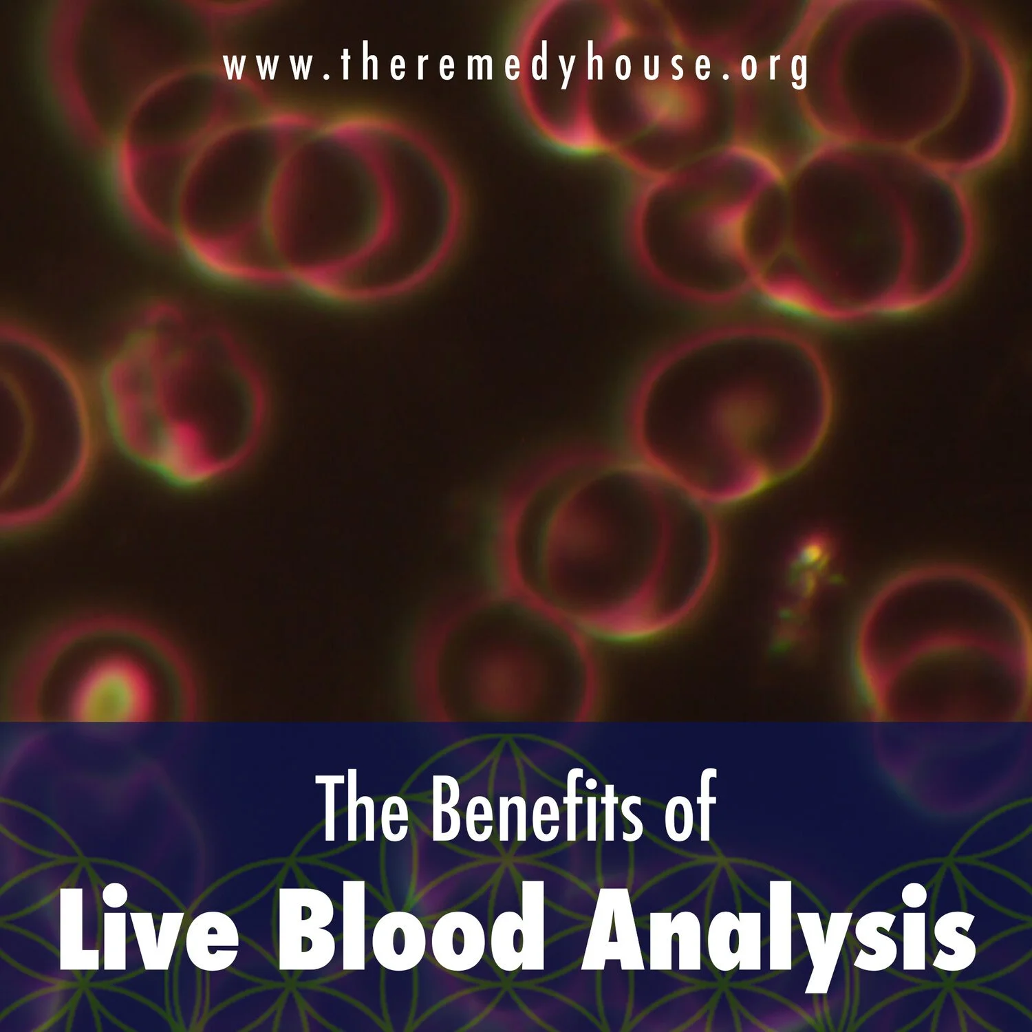 The Benefits of Live Blood Analysis