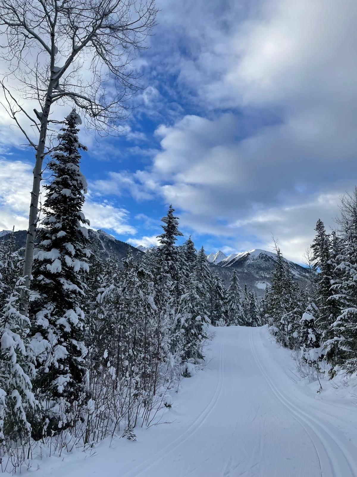 Embracing the Art of Wintering