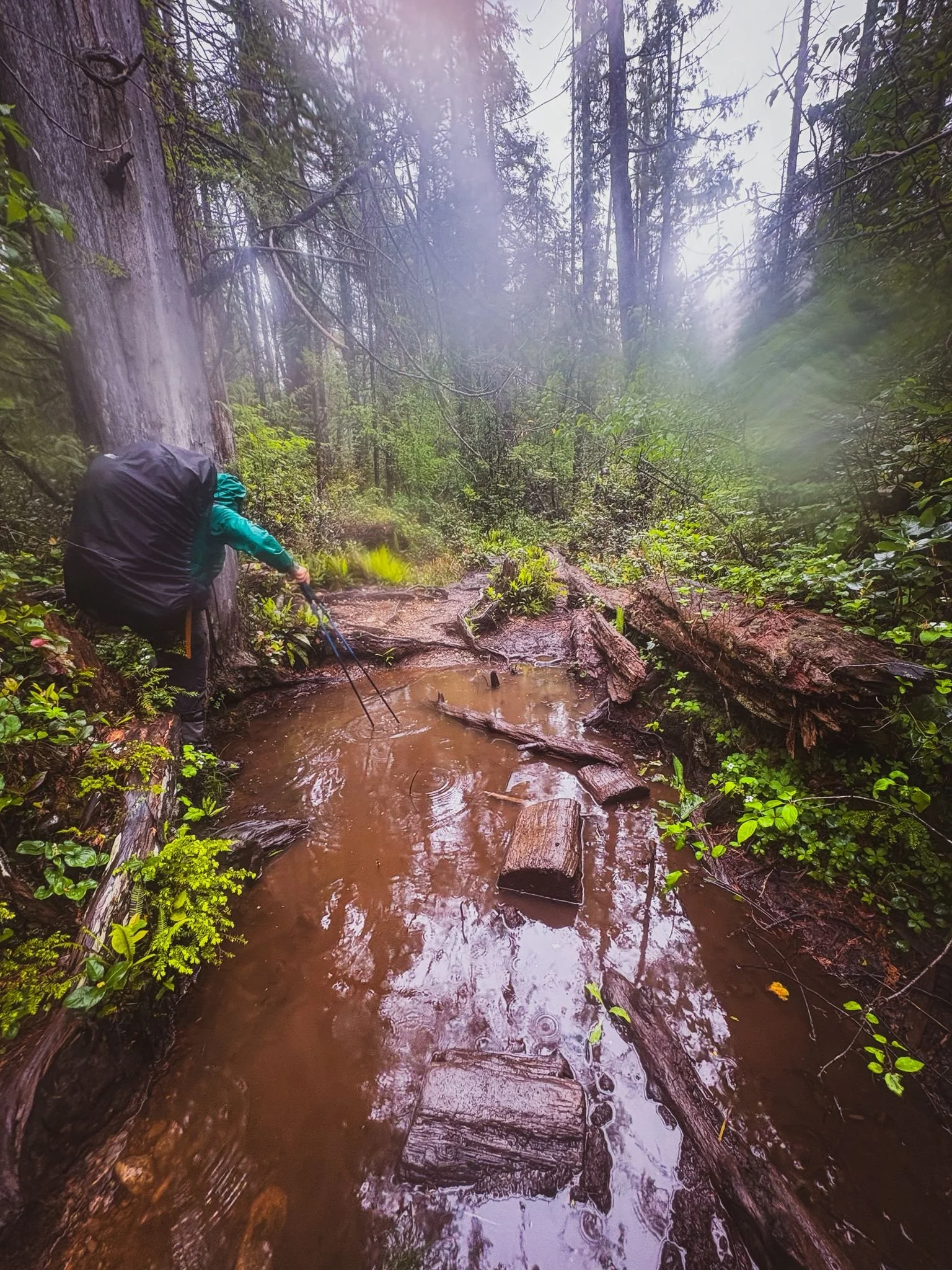 Lessons from mud: when life and therapy feel messy sometimes