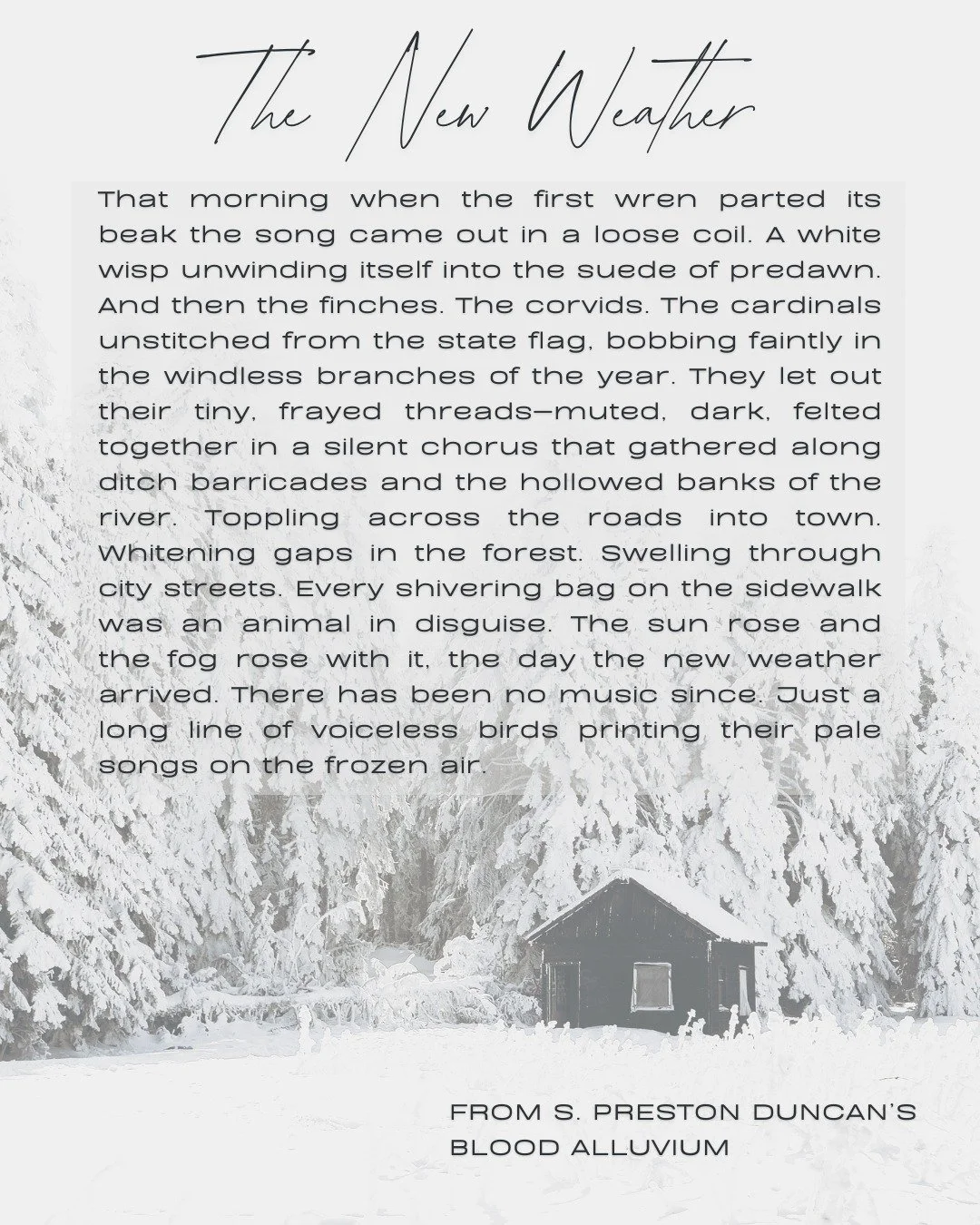 There's still a week left to get a copy of @sprestonduncan's "achingly lyric" collection for the stockings of all your loved ones! And don't just take our work for it, slide through to see what Joanna S. Lee, Poet Laureate of Richmond, Virg