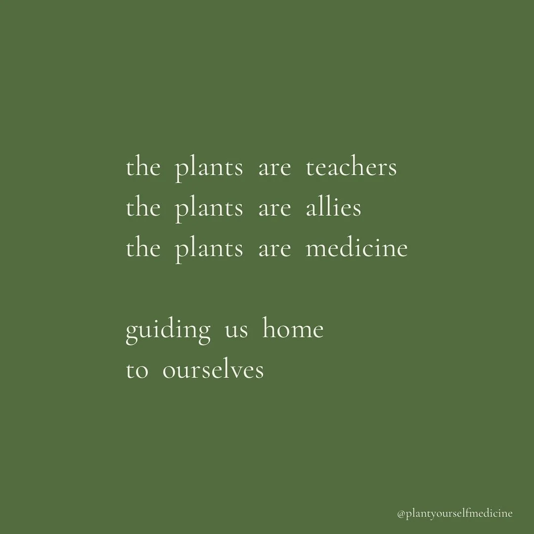 Beneath every flower, leaf, and root lives a teacher. It invites us to step back and let the spirit of the plants support the spirit of the human. In their wisdom, plants help us see the patterns and behaviors that may be weighing us down, offering n