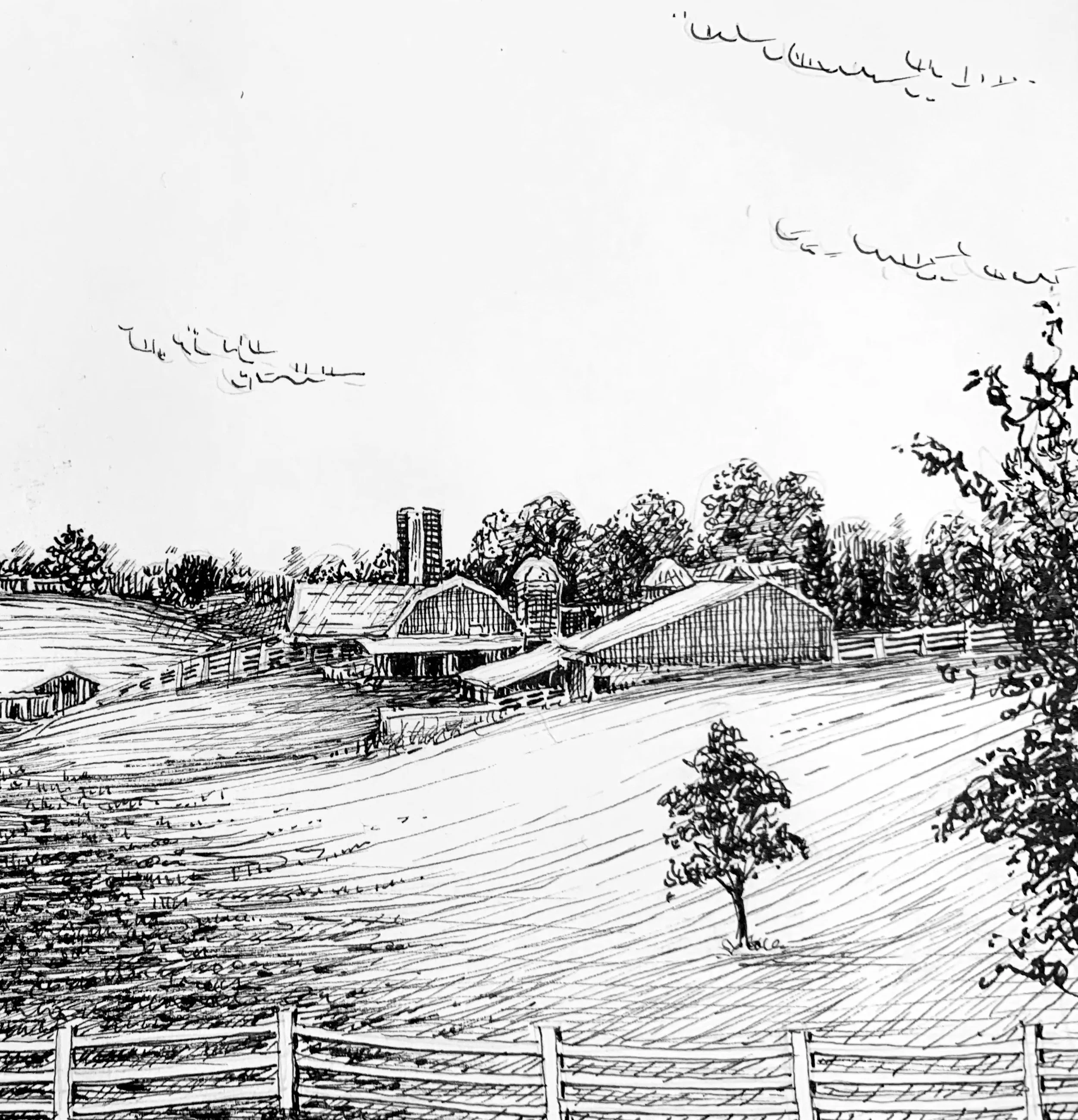 Inktober drawing by PETER GRUNDY