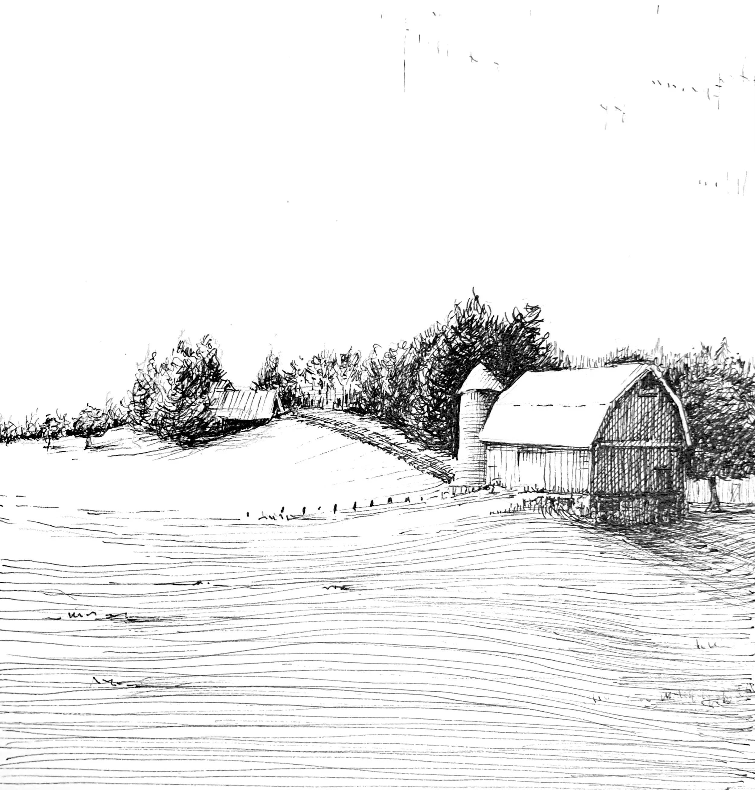 Inktober drawing by PETER GRUNDY
