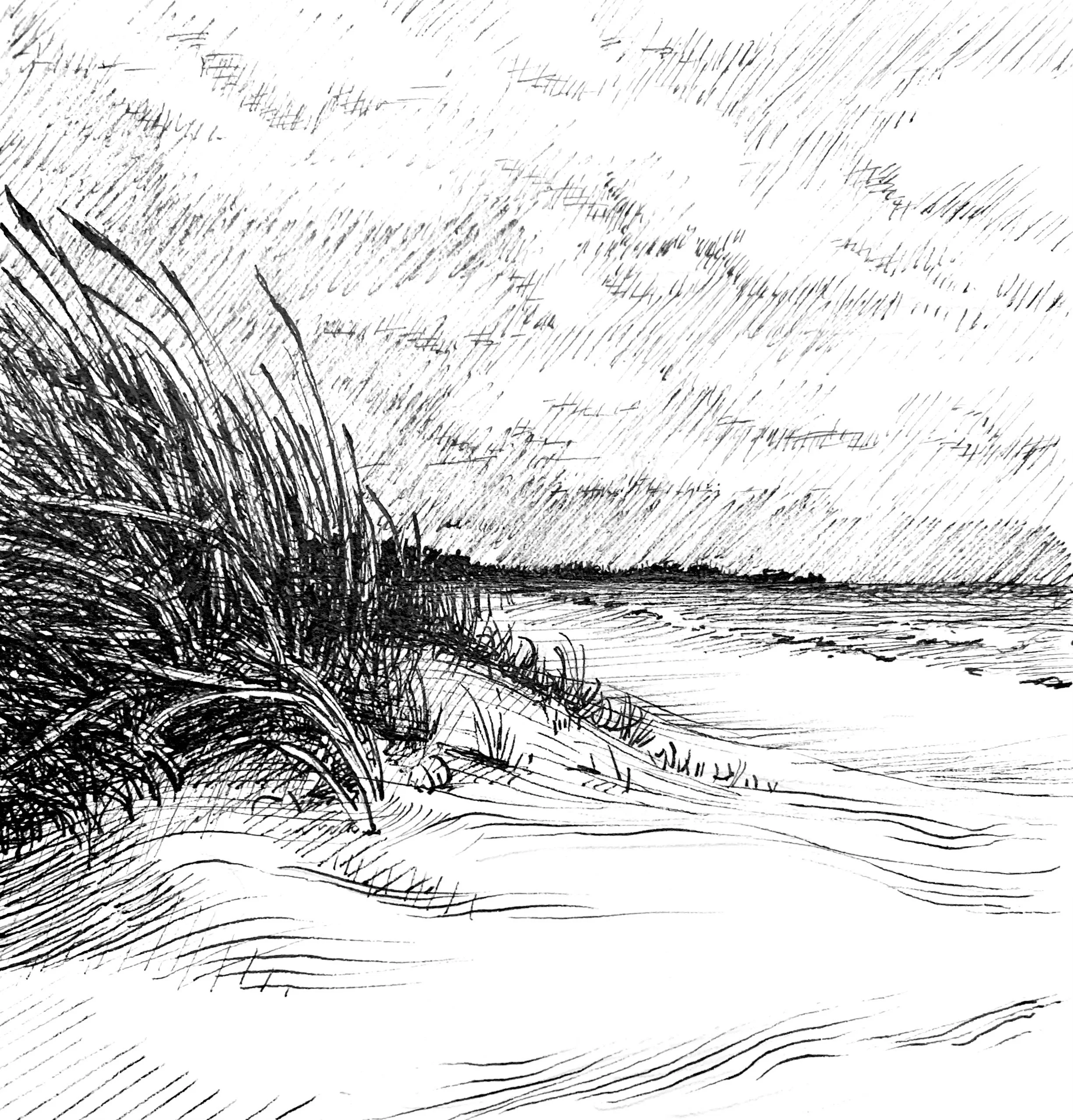 Inktober drawing by PETER GRUNDY