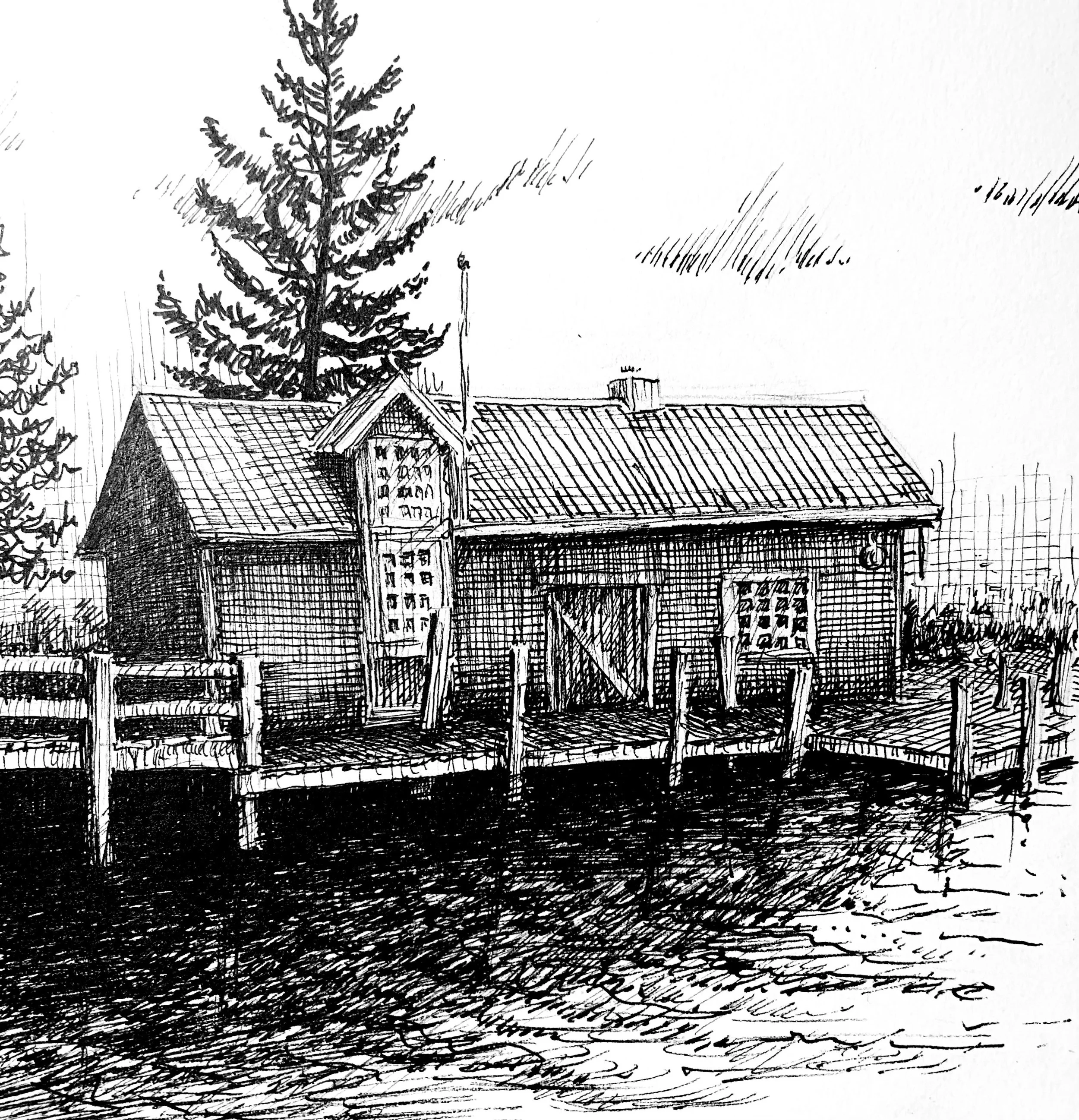 Inktober drawing by PETER GRUNDY