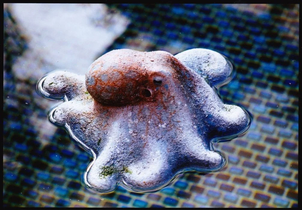 ID-Model-Octopus.jpg