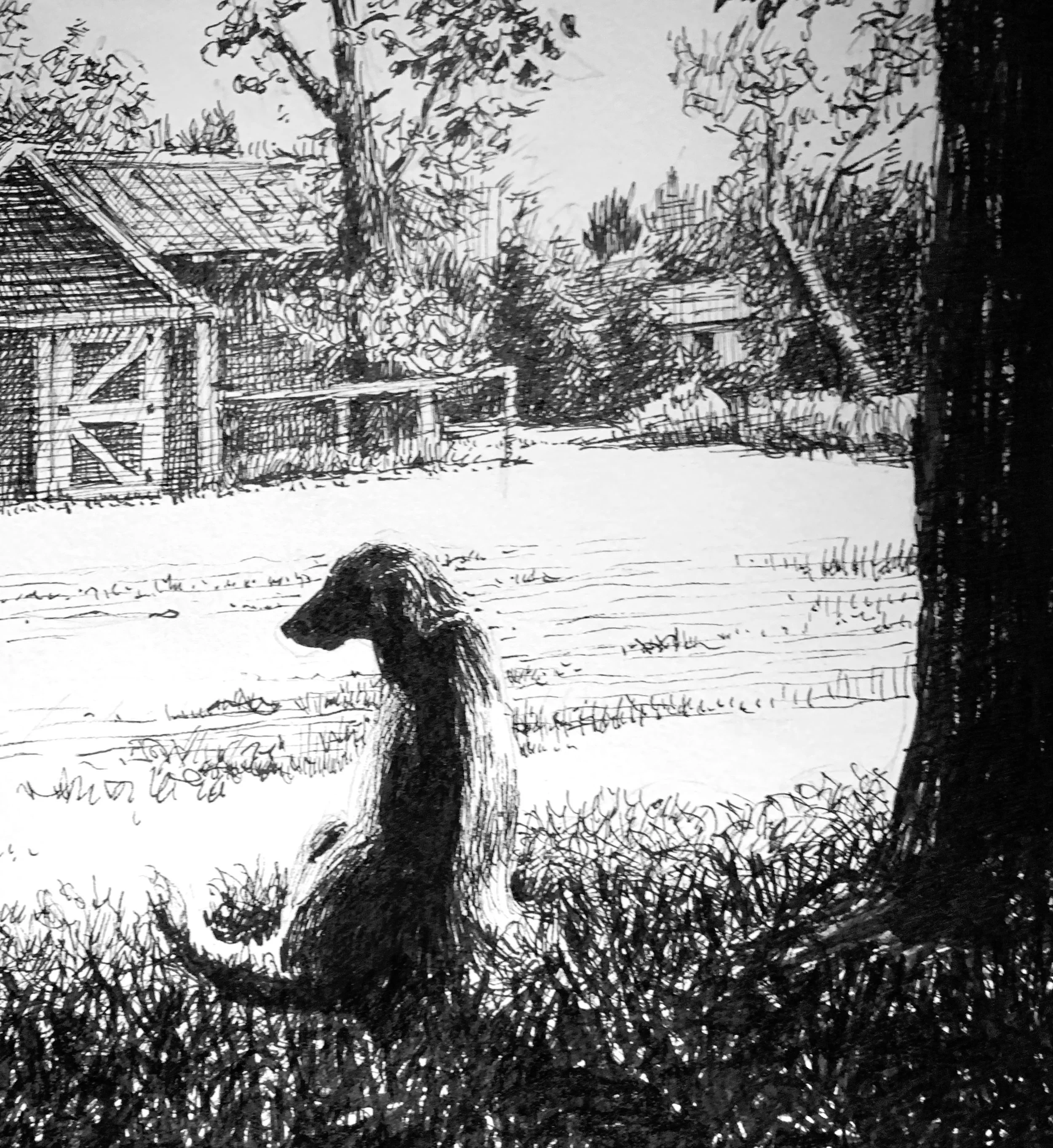 Inktober drawing by PETER GRUNDY