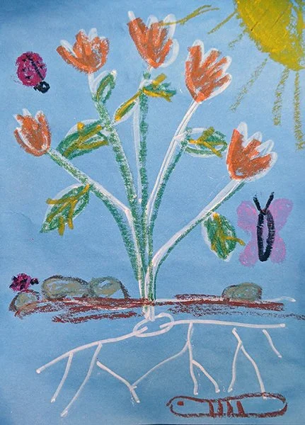 chalk art of plant