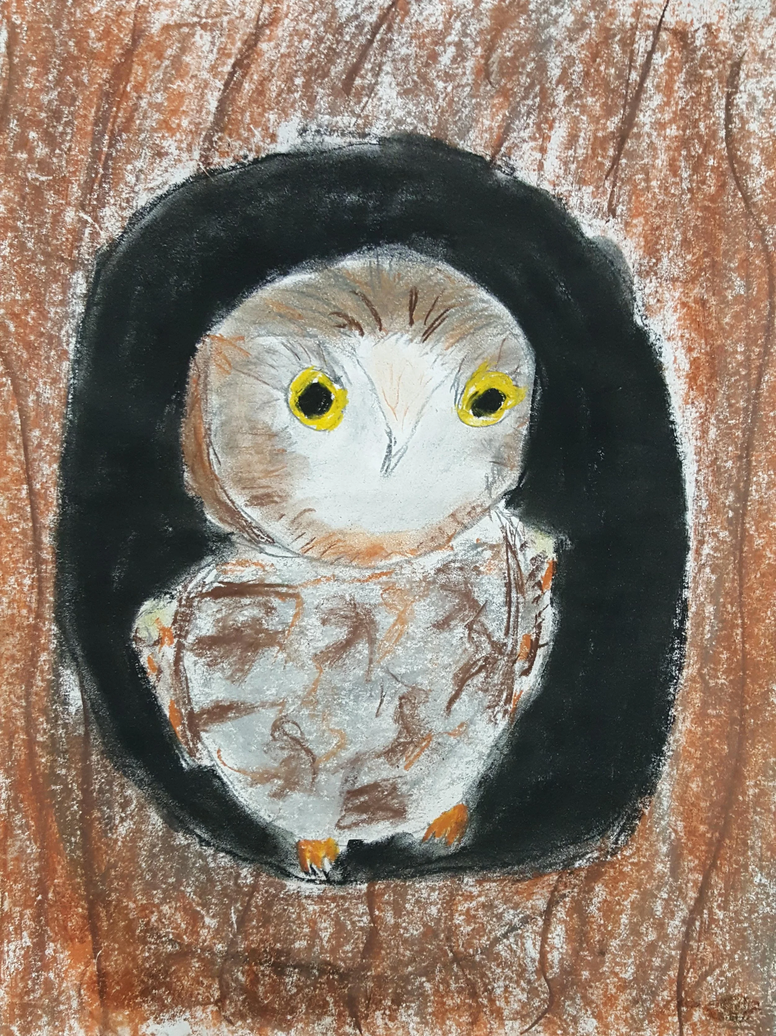 5th grade art inspired by John James Audubon Wild Turkey