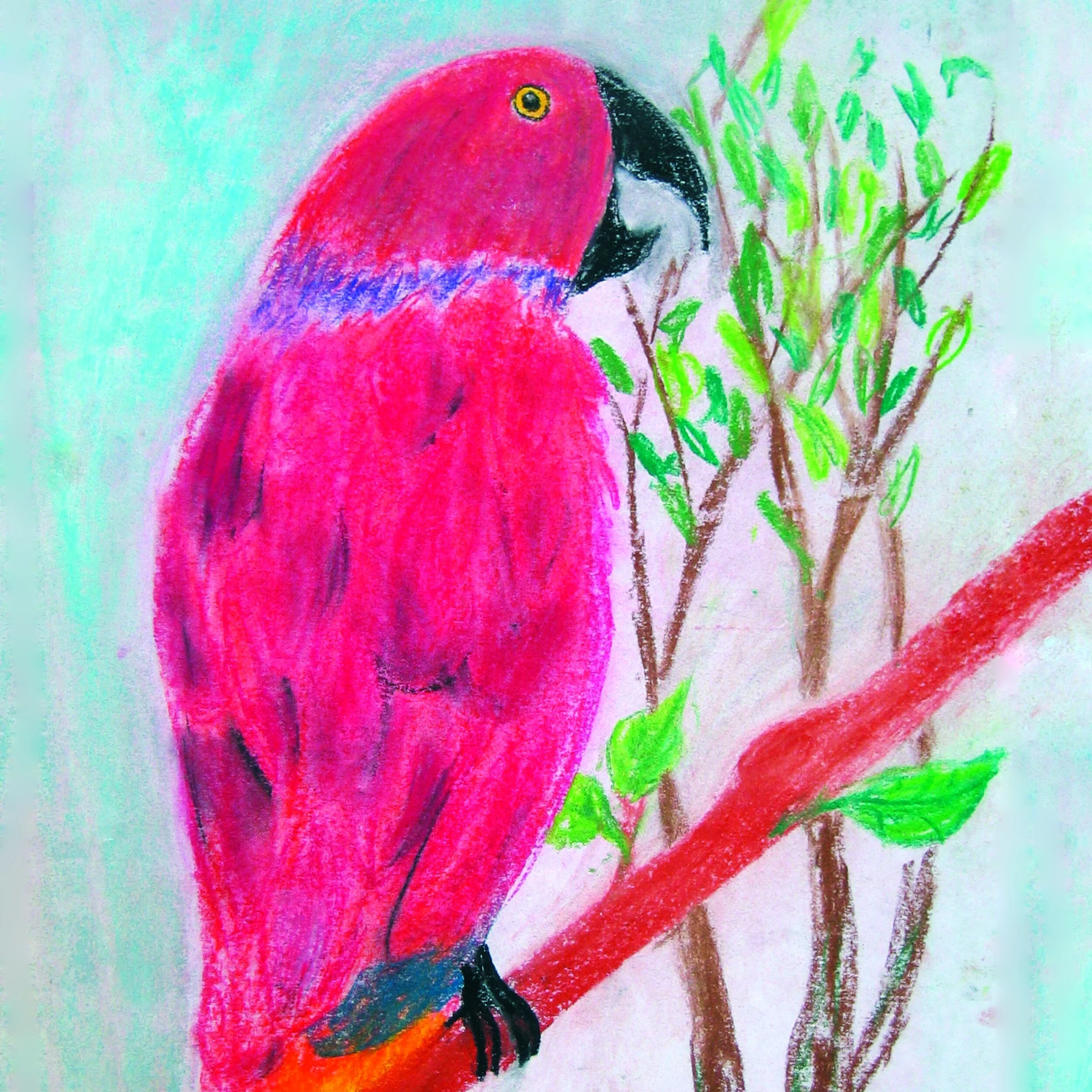 colorful chalk painting of parrot created by student