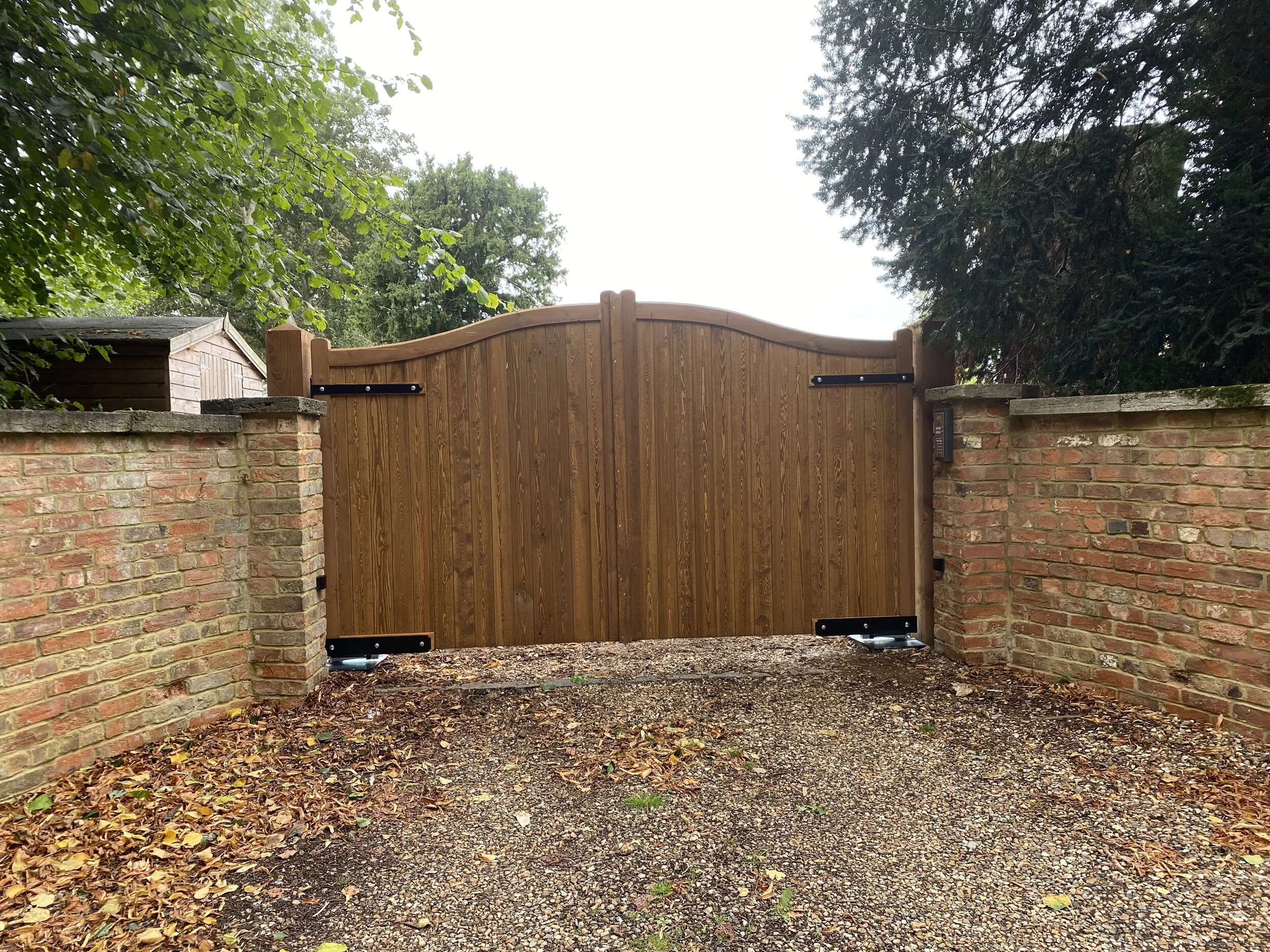 softwood autofront.jpg