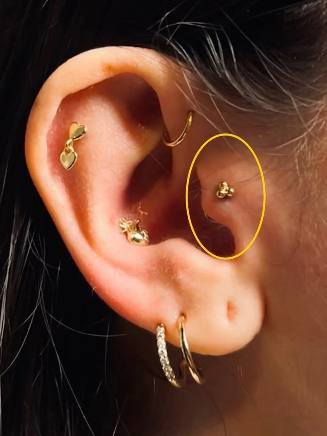 Close-up of a person's ear with multiple piercings, including gold hoop earrings and stud earrings with designs like hearts and a bee, highlighted by a yellow circle.