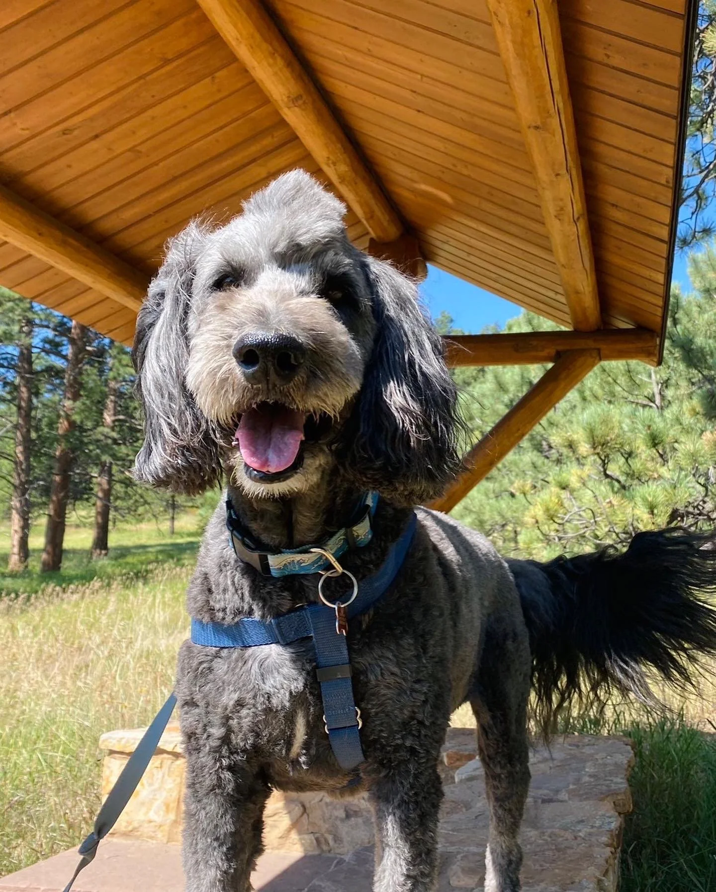 70D9CA57-4E8B-442E-BD96-56184719C43E (1).JPG