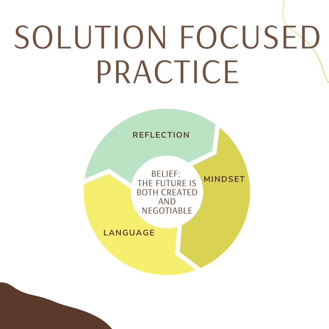 Solution Focused Practice for Human Services Organizations:  A Beginner's Guide 