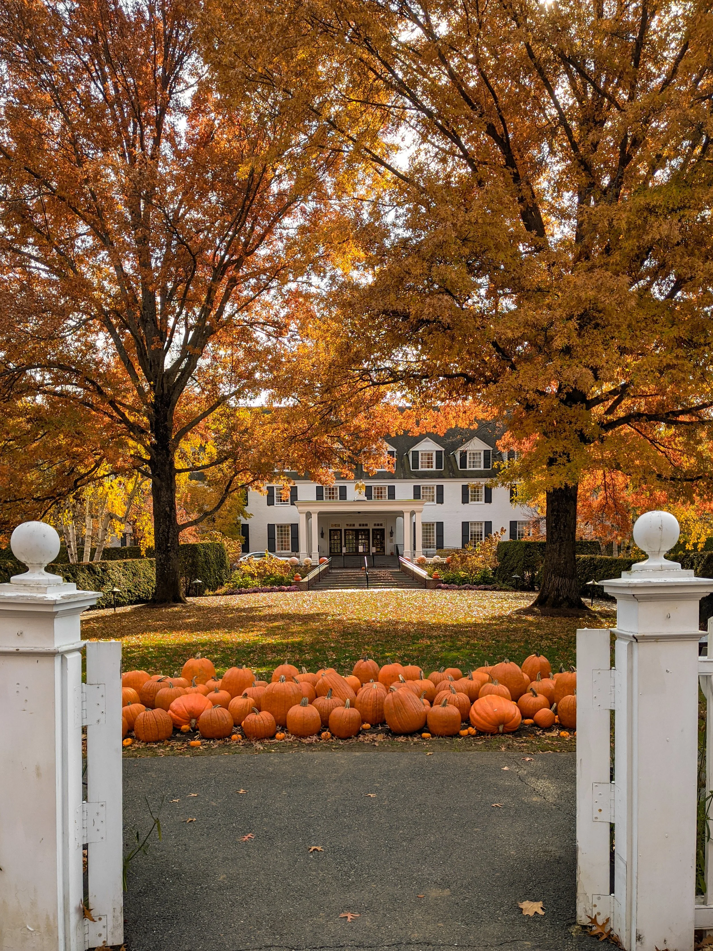 Where Should I Go This Fall in Woodstock, Vermont?