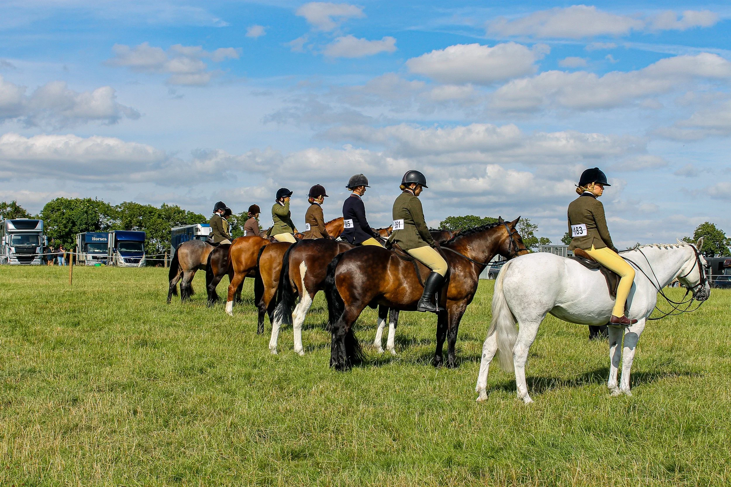 Amendment To Equestrian Judge