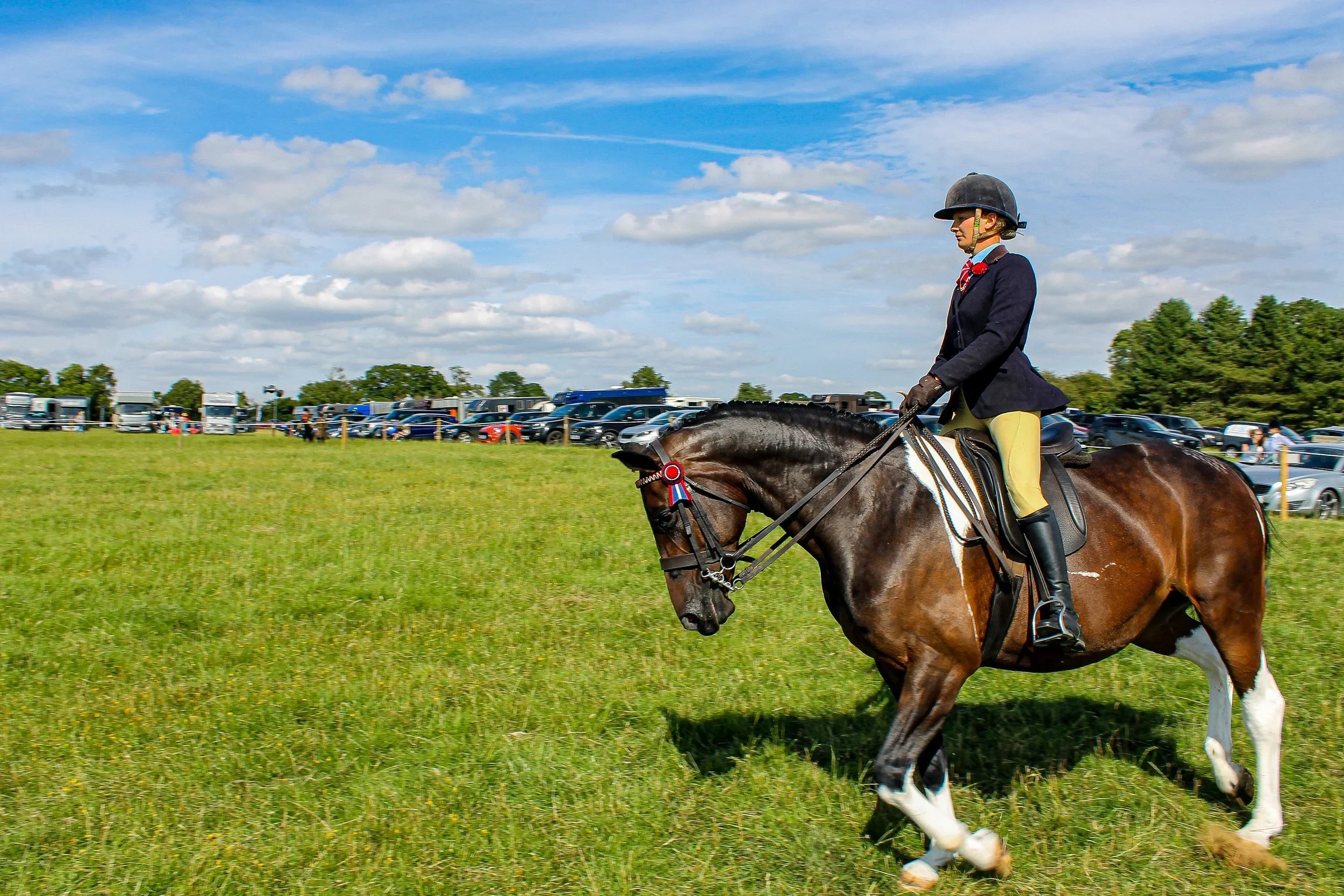 🏆 BLAKESLEY SHOW 2026 – RESULTS 🐴