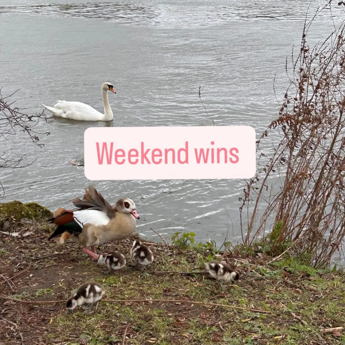 Sooooo cute how excited the girls were about Mother&rsquo;s Day this year ❤️🥹

I hope you all had a very special one too! Xx