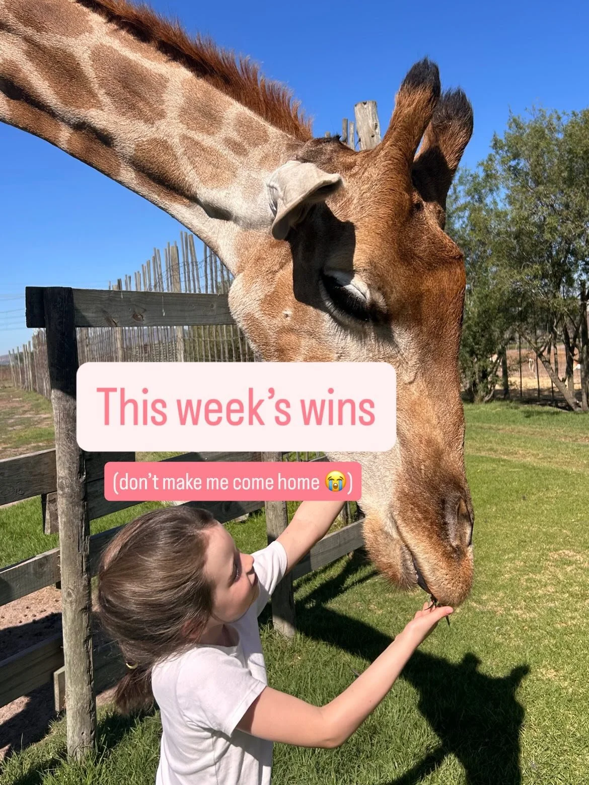 It&rsquo;s back to reality from tomorrow 💔 But it&rsquo;s been the trip of a lifetime 🙏🏻 xx