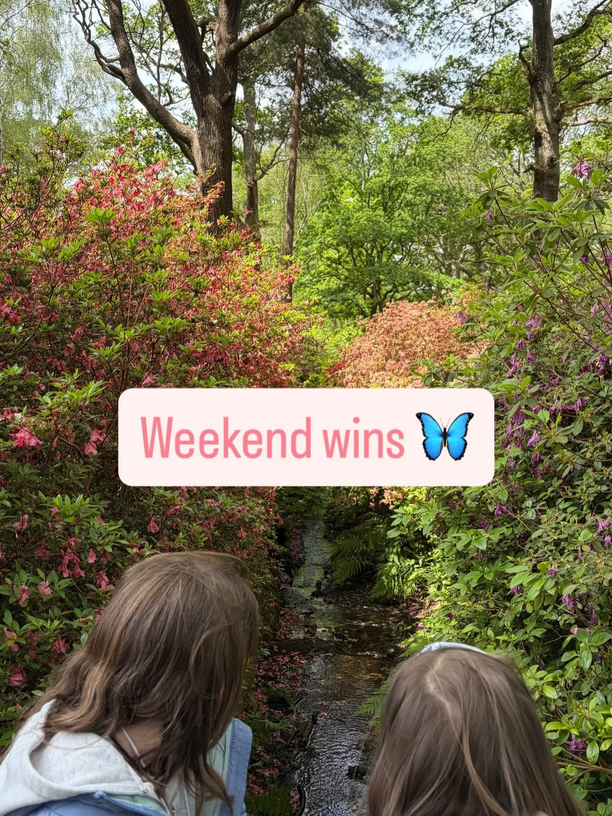 A weekend of nature 👀