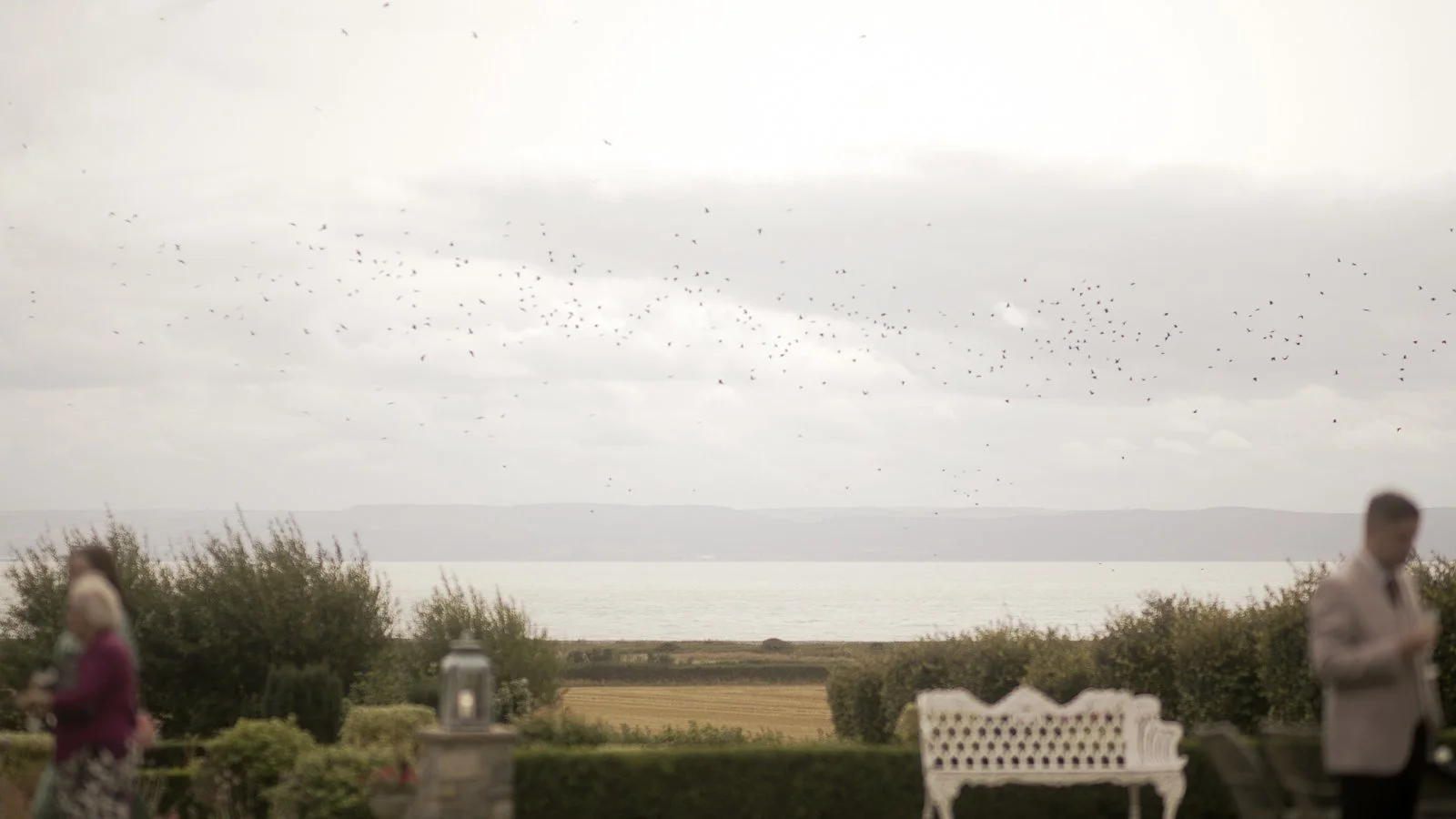 a flock of birds at a wedding at Gileston Manor looking over the sea