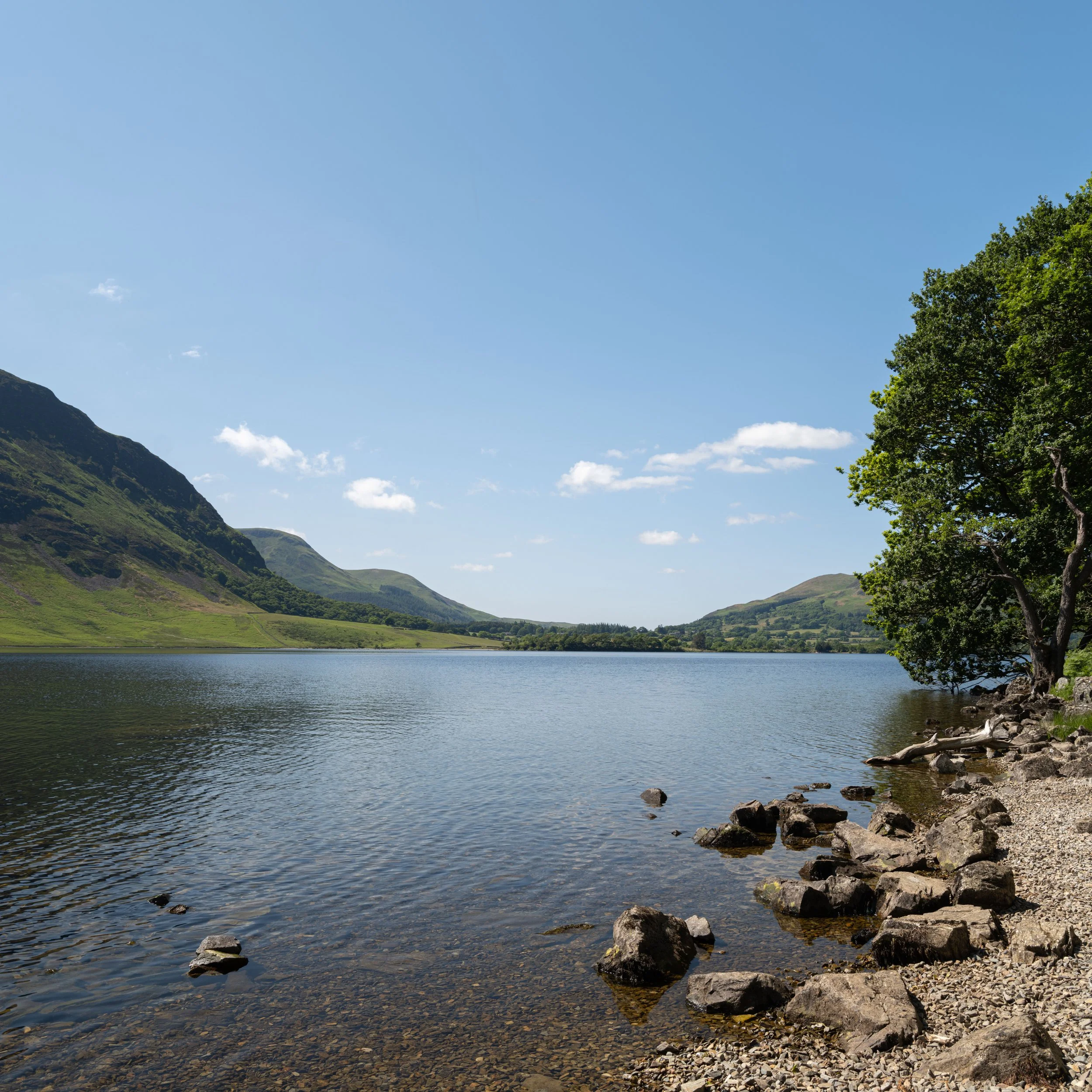 A peaceful lake surrounded by green mountains and a clear blue sky with a few white clouds, and a rocky shoreline on the right with a tree.