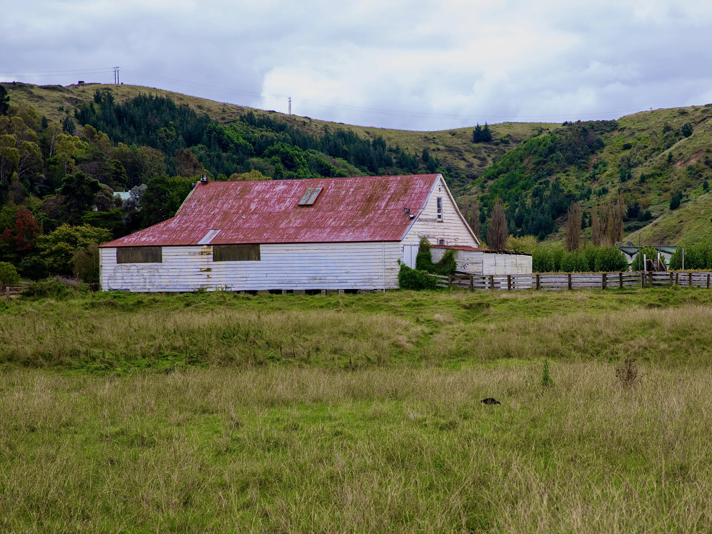 Old white barn with a rusted red roof in a grassy field, surrounded by hills and trees during daytime.