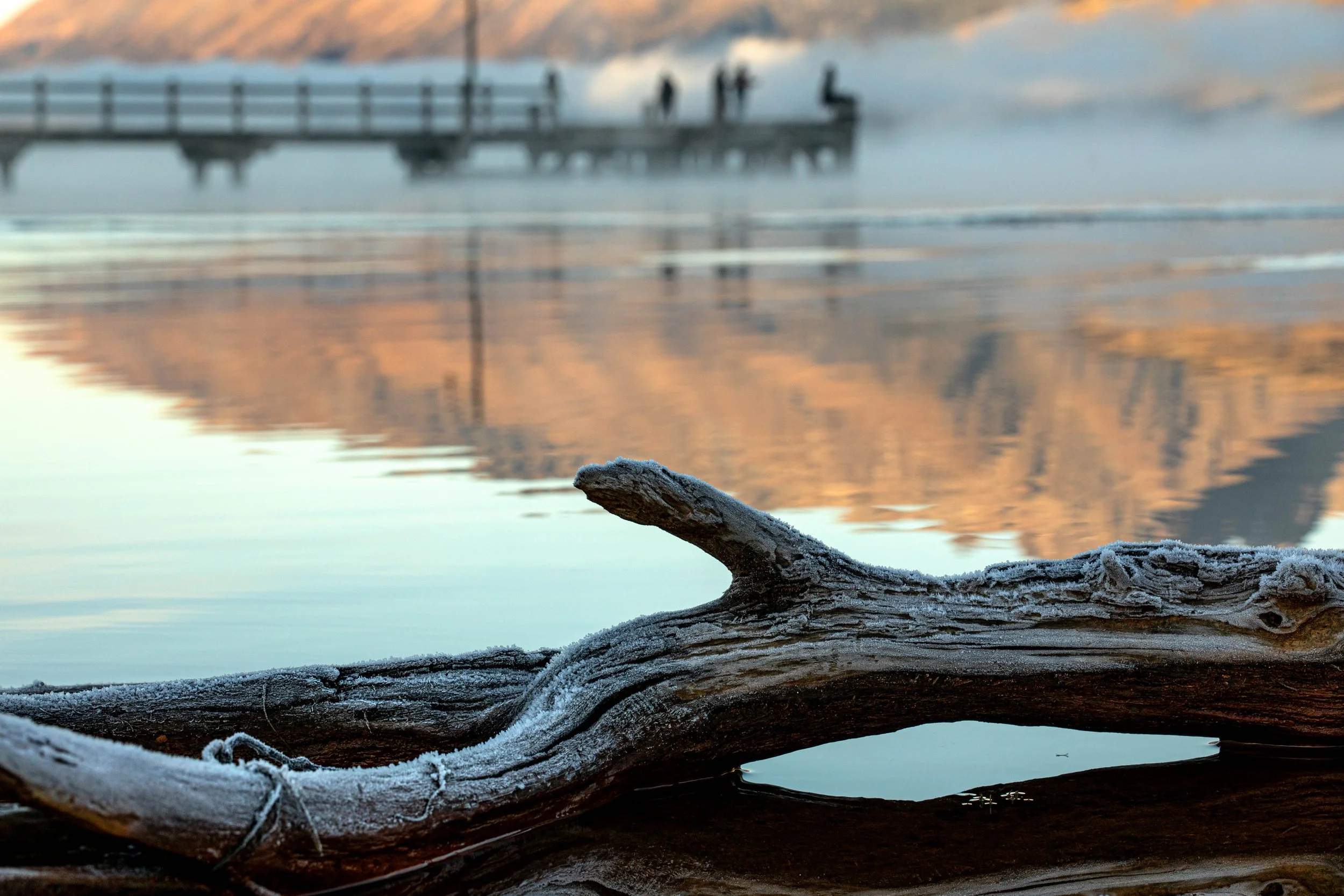 Frost-covered log on a calm water surface with a wooden pier and mountain reflection in the background during dawn or dusk.