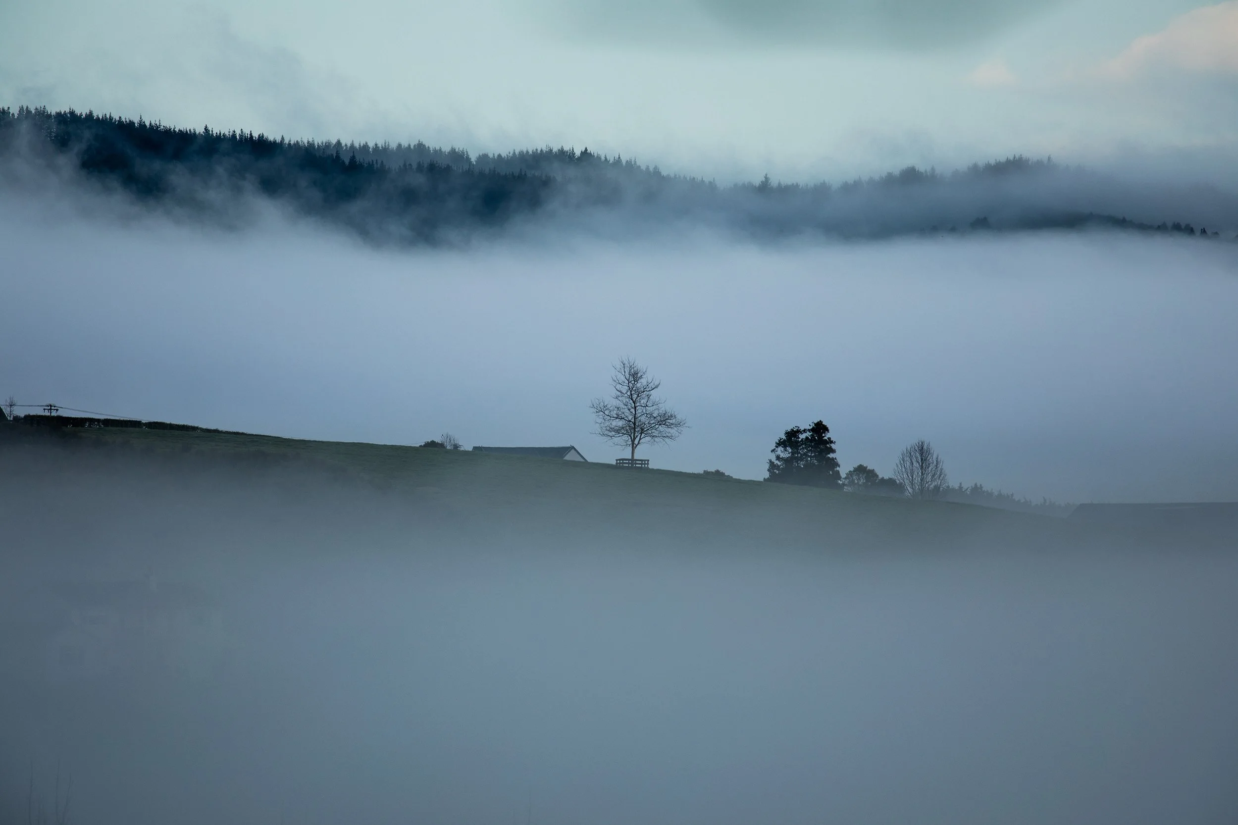 A foggy landscape with a lone tree on a hill, some houses, and distant mountains partially obscured by fog.