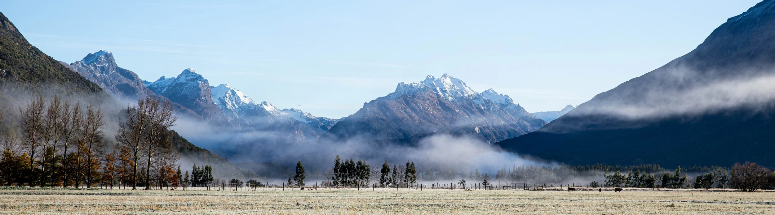 Mountain landscape with snow-capped peaks, fog in the valleys, leafless trees, and cattle grazing in a field.