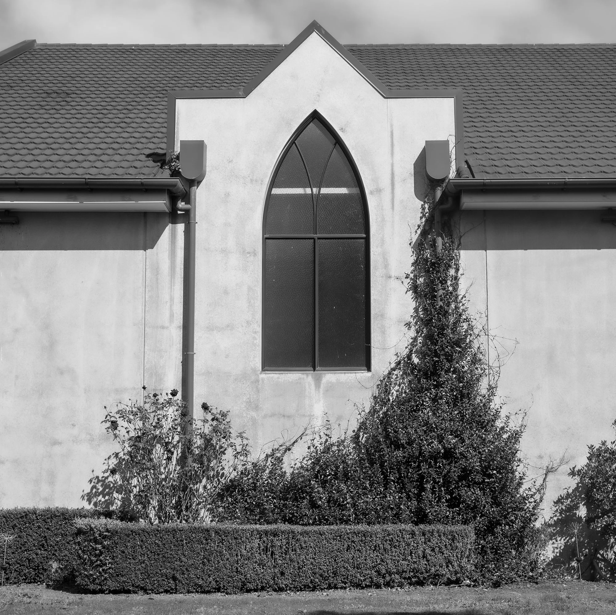 Black and white photo of the exterior of a building with a large arched window, a tiled roof, and climbing vines on the right side of the wall.