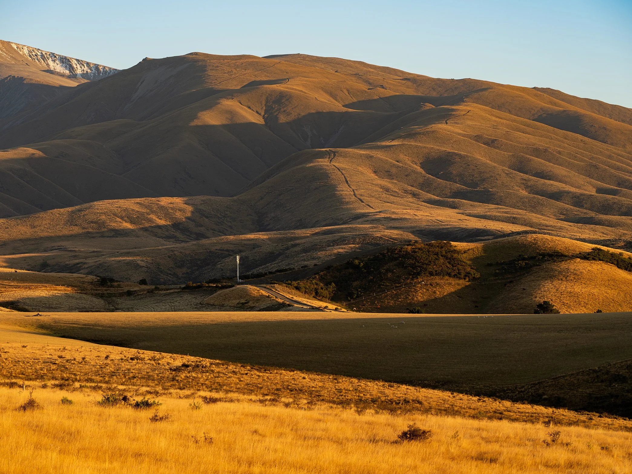 Golden rolling hills and mountain landscape at sunset with clear sky.