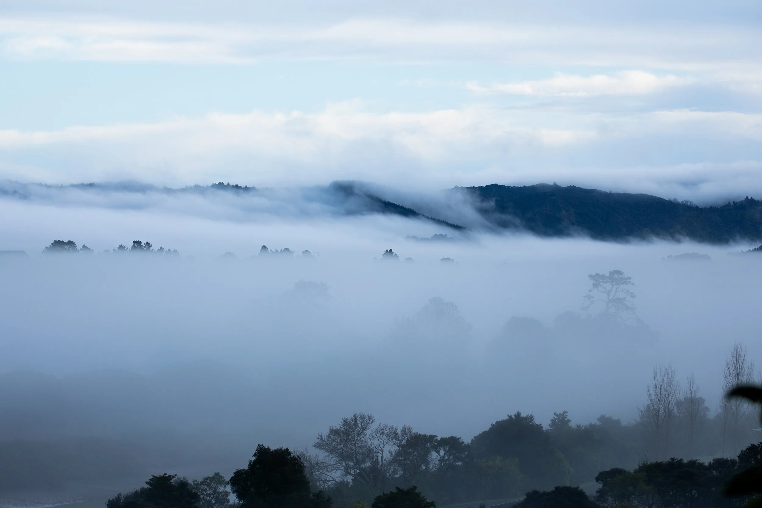 Foggy mountain landscape with trees and layers of mist, mountains in the distance under a cloudy sky.