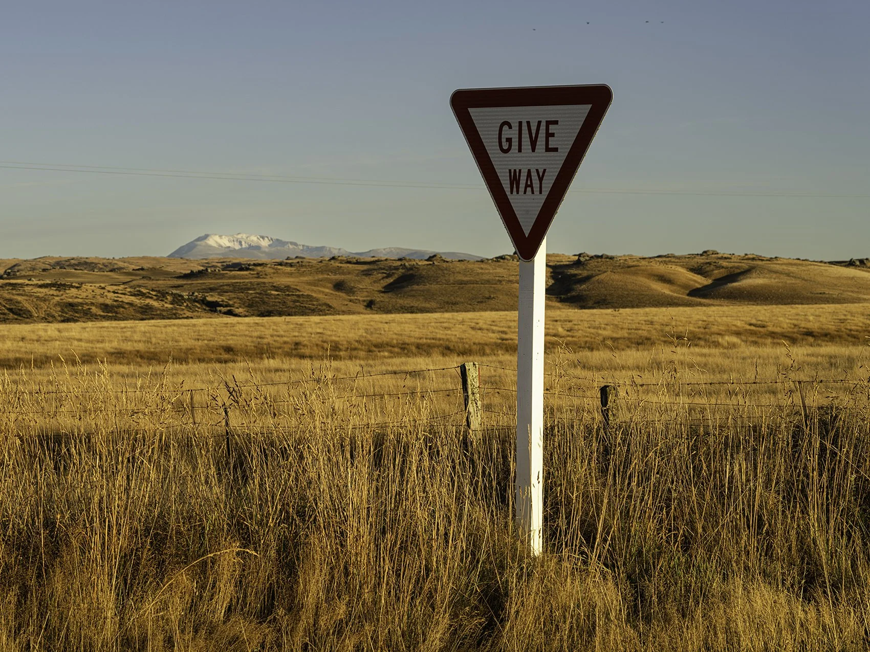 A triangular road sign with the words 'GIVE WAY' in the middle, standing in a grassy field with rolling hills and a snow-capped mountain in the background.