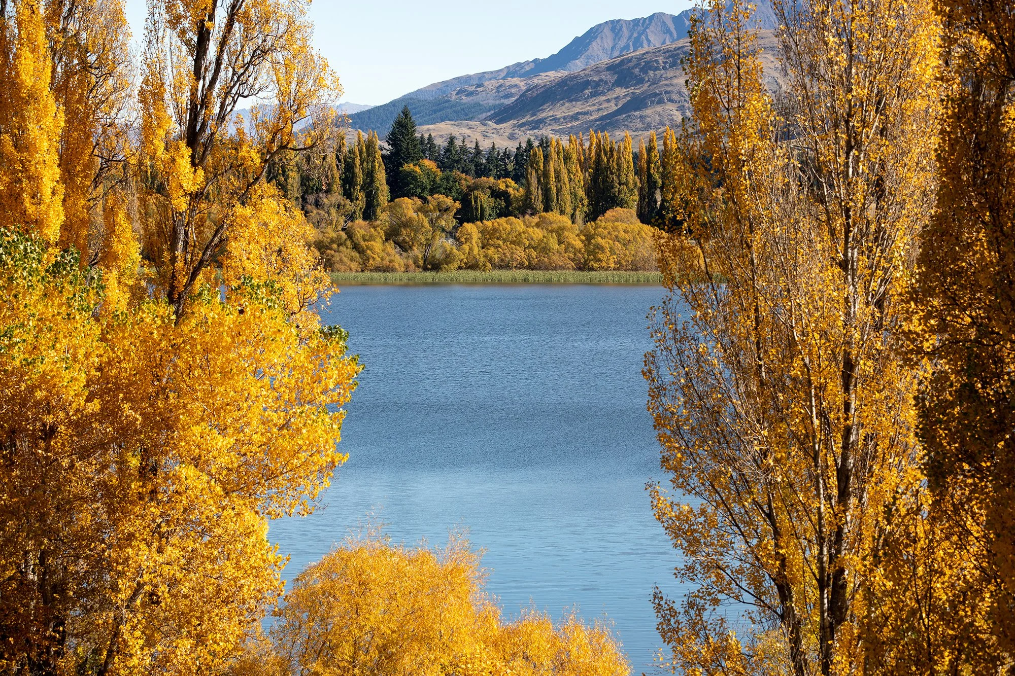 Autumn landscape with yellow and orange trees surrounding a blue lake, mountains in the background under a clear sky.