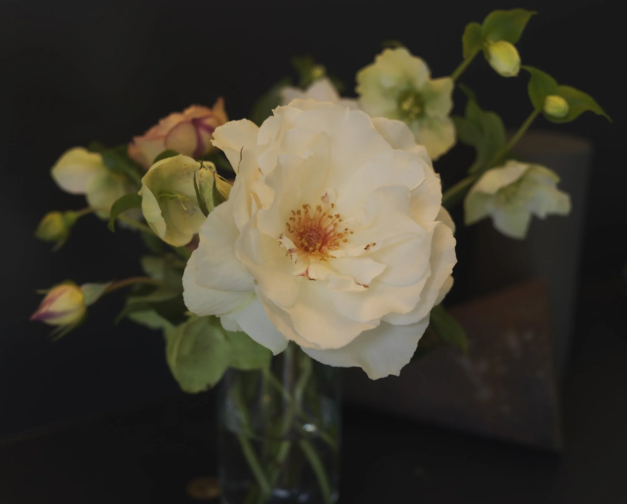 White and pale pink roses in a glass vase against a dark background.