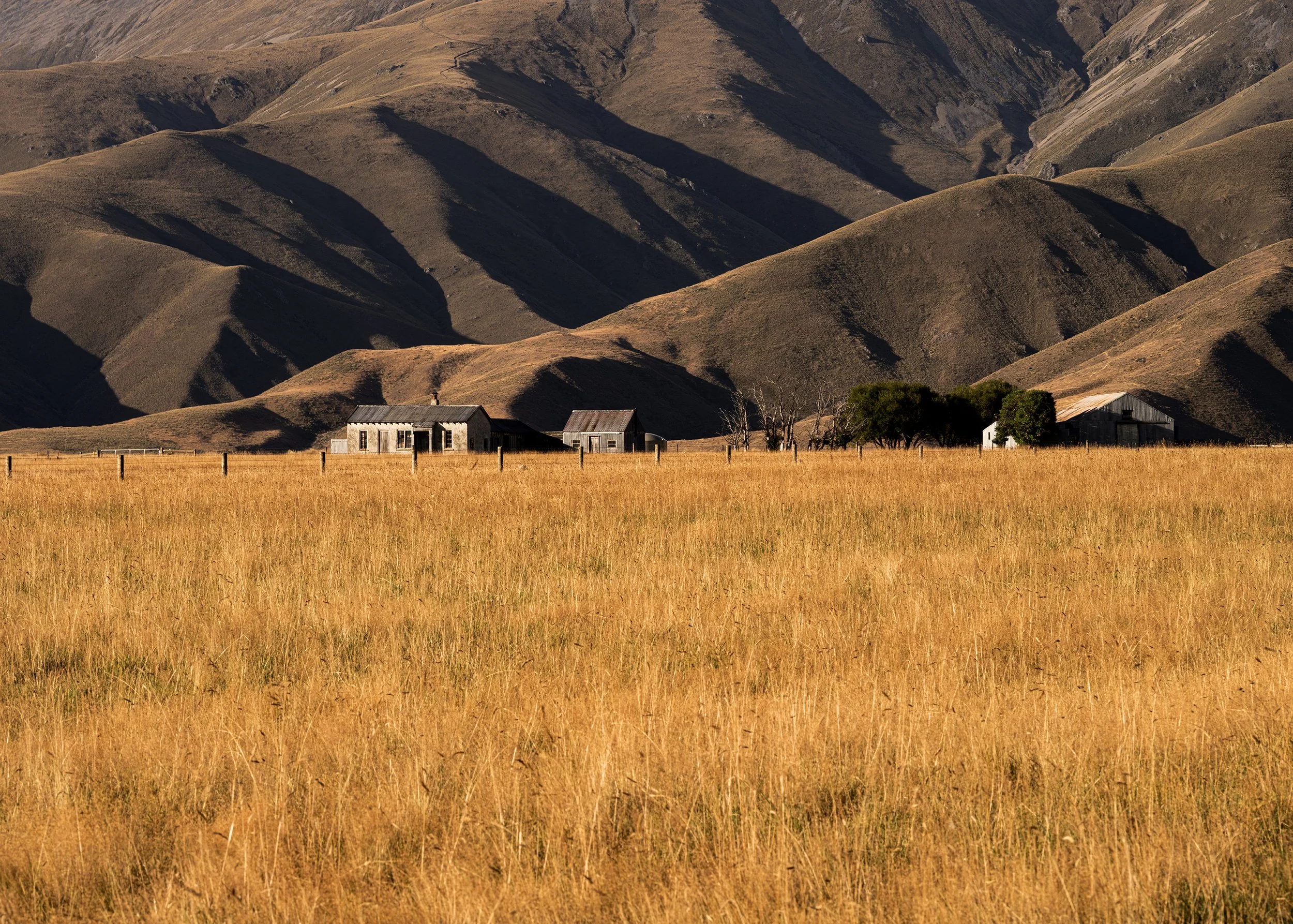 A landscape with golden grass in the foreground, a few old wooden buildings in the middle ground, and rolling brown hills in the background.