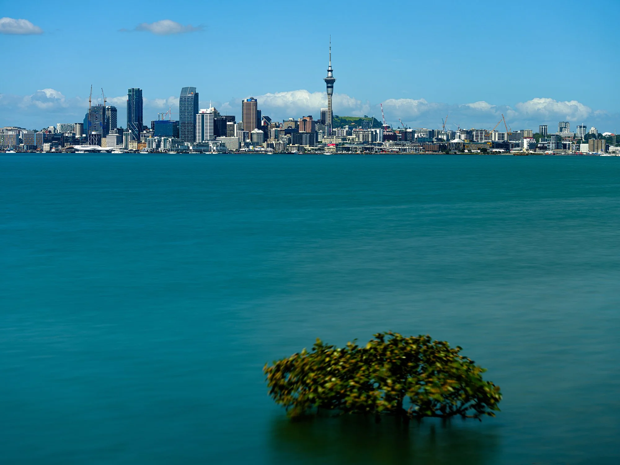 A city skyline with tall buildings and a prominent tower, viewed across a body of water with a small bush near the foreground, under a partly cloudy sky.
