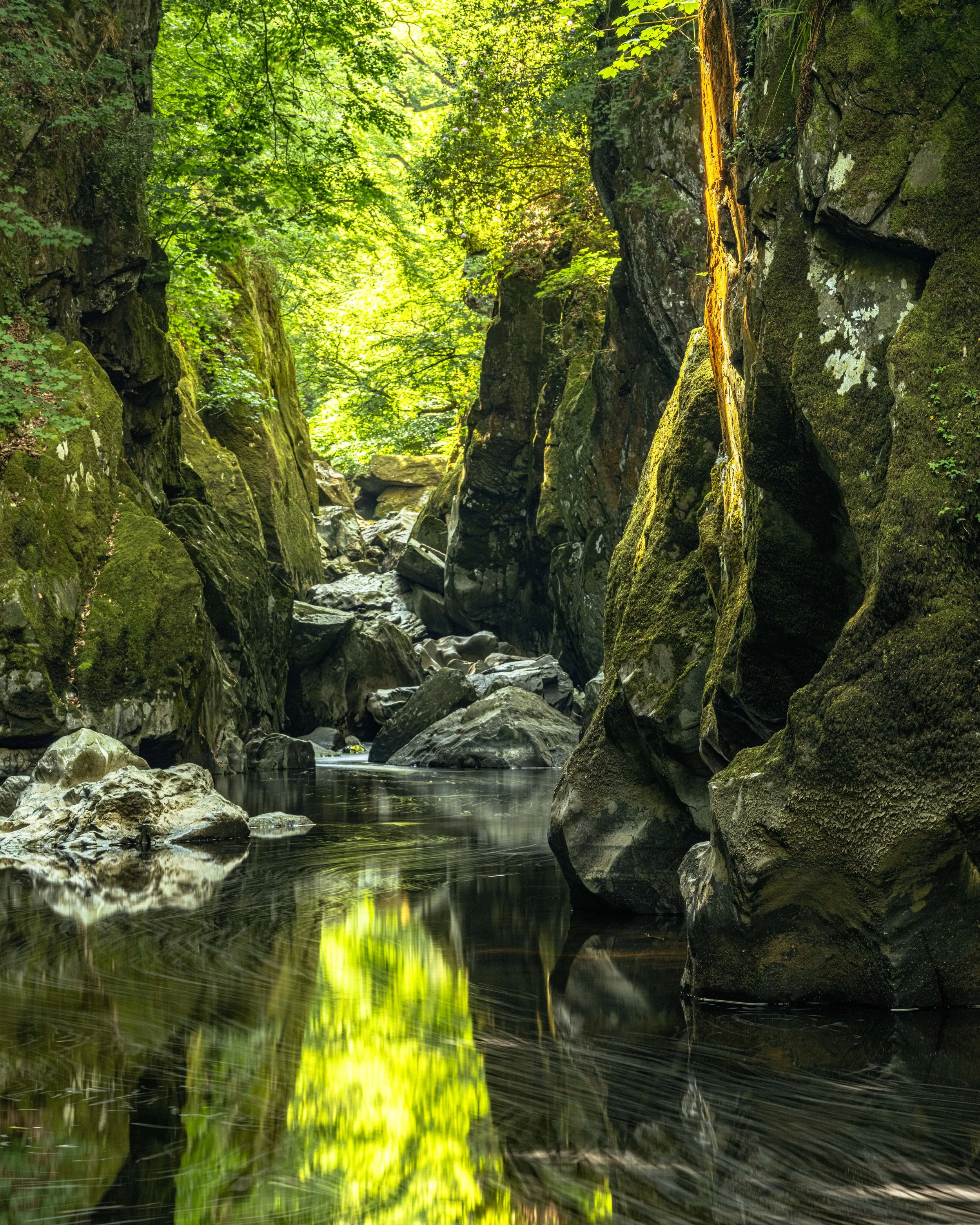 A scenic river with rocks flowing through a lush green canyon with moss-covered boulders and dense foliage overhead.