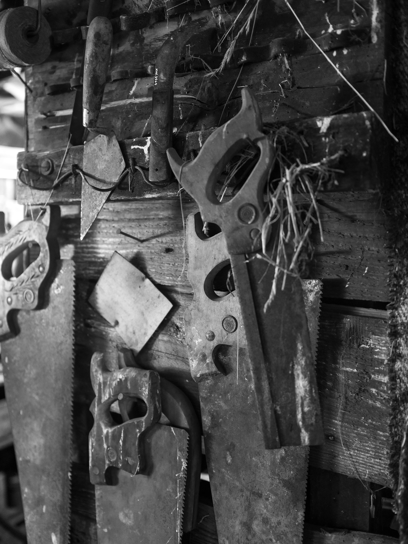 Black and white photo of various hand saws, a plane, and other woodworking tools arranged on a wooden workbench.
