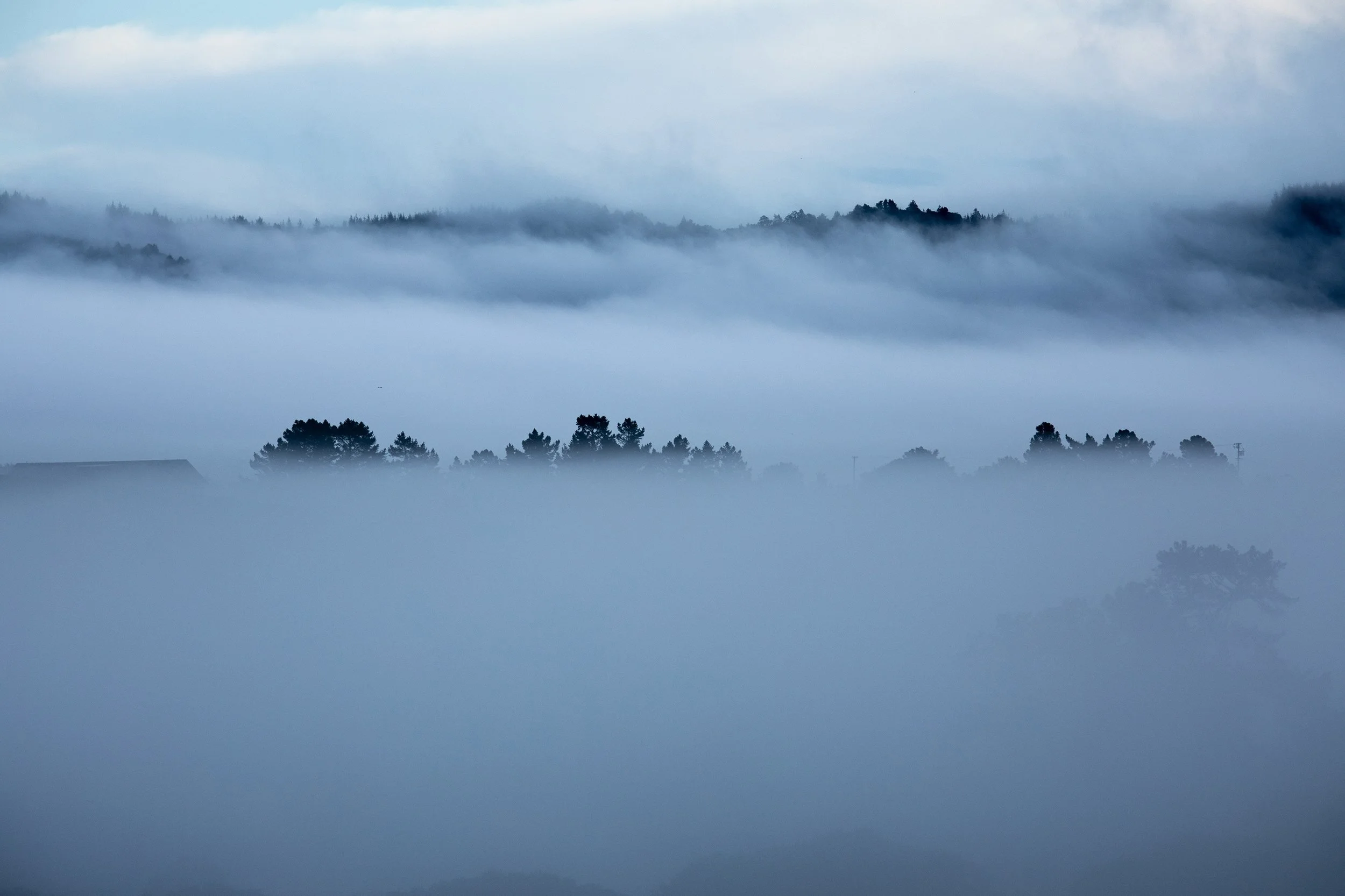 A landscape of rolling hills covered in dense fog, with trees silhouetted against the fog and a cloudy sky above.