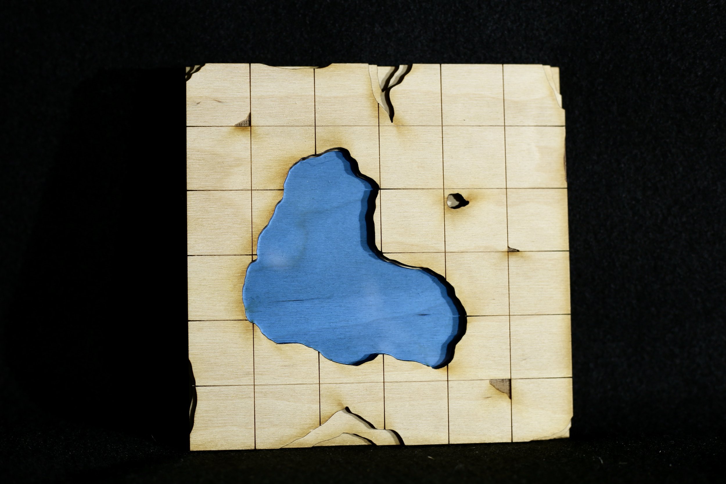 6E2CFADF-A58F-4EF4-8EEA-3D16F4FB29D7_1_201_a.jpeg