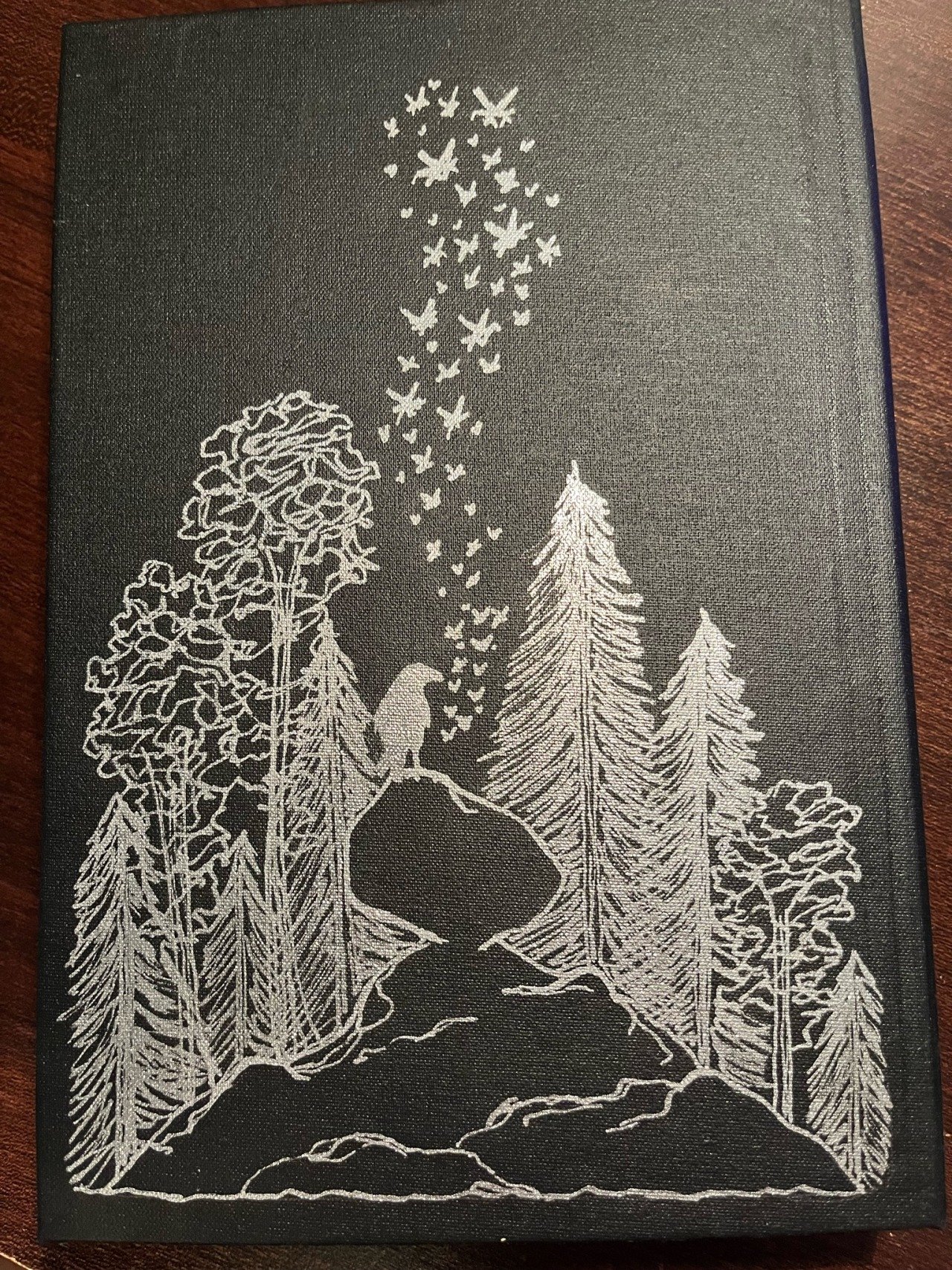 the Raven Tower back cover