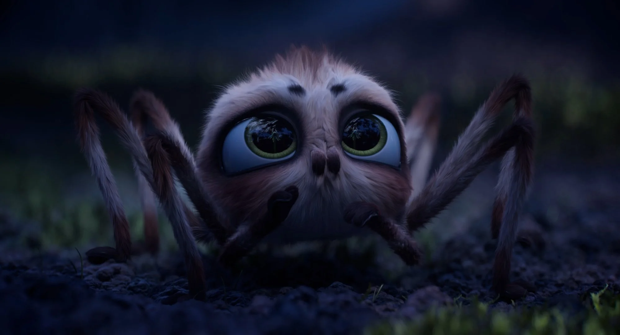 An image of an animated spider with big eyes looking up.