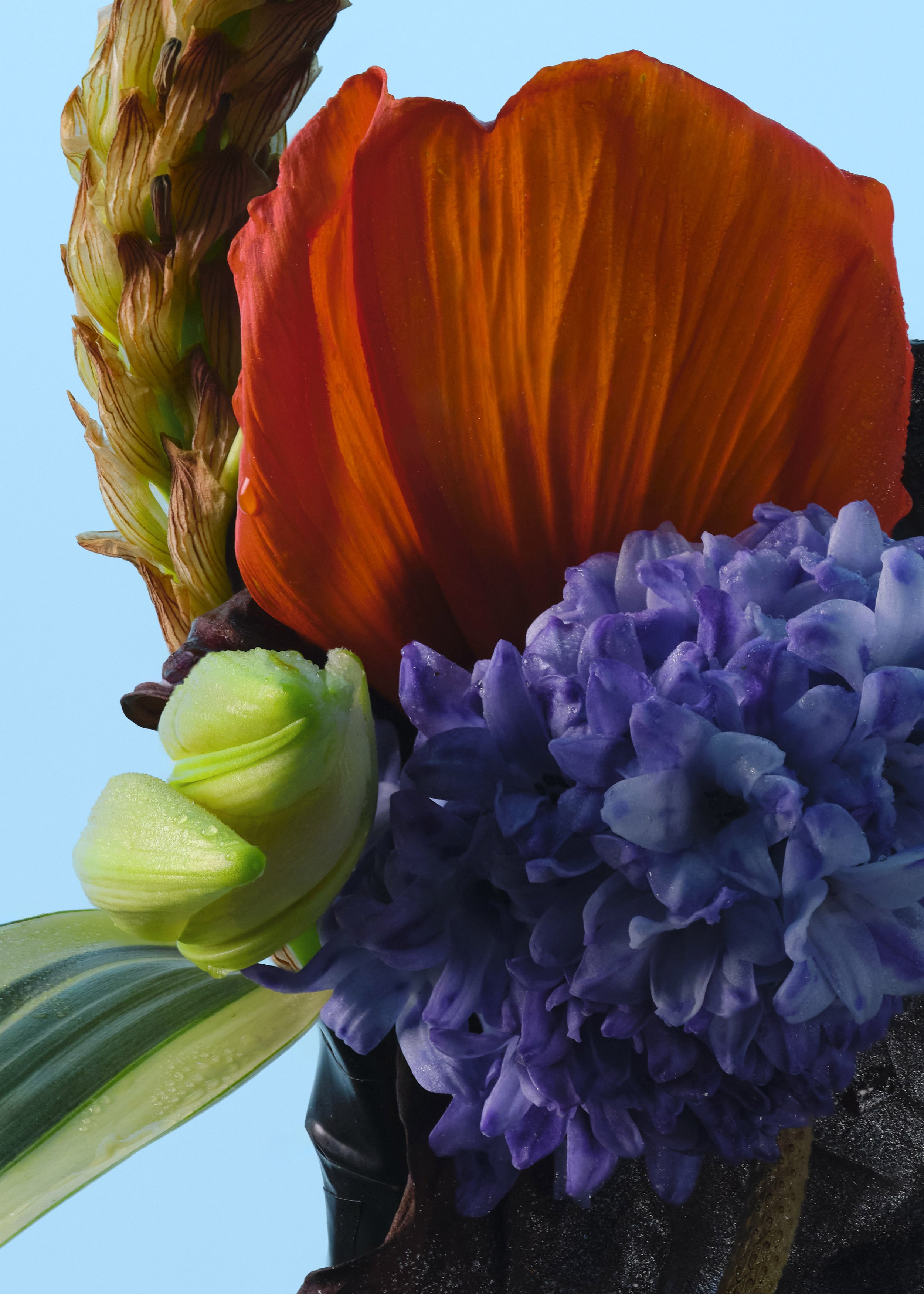 FLEURS-2520-FOCUS copie 2.jpg