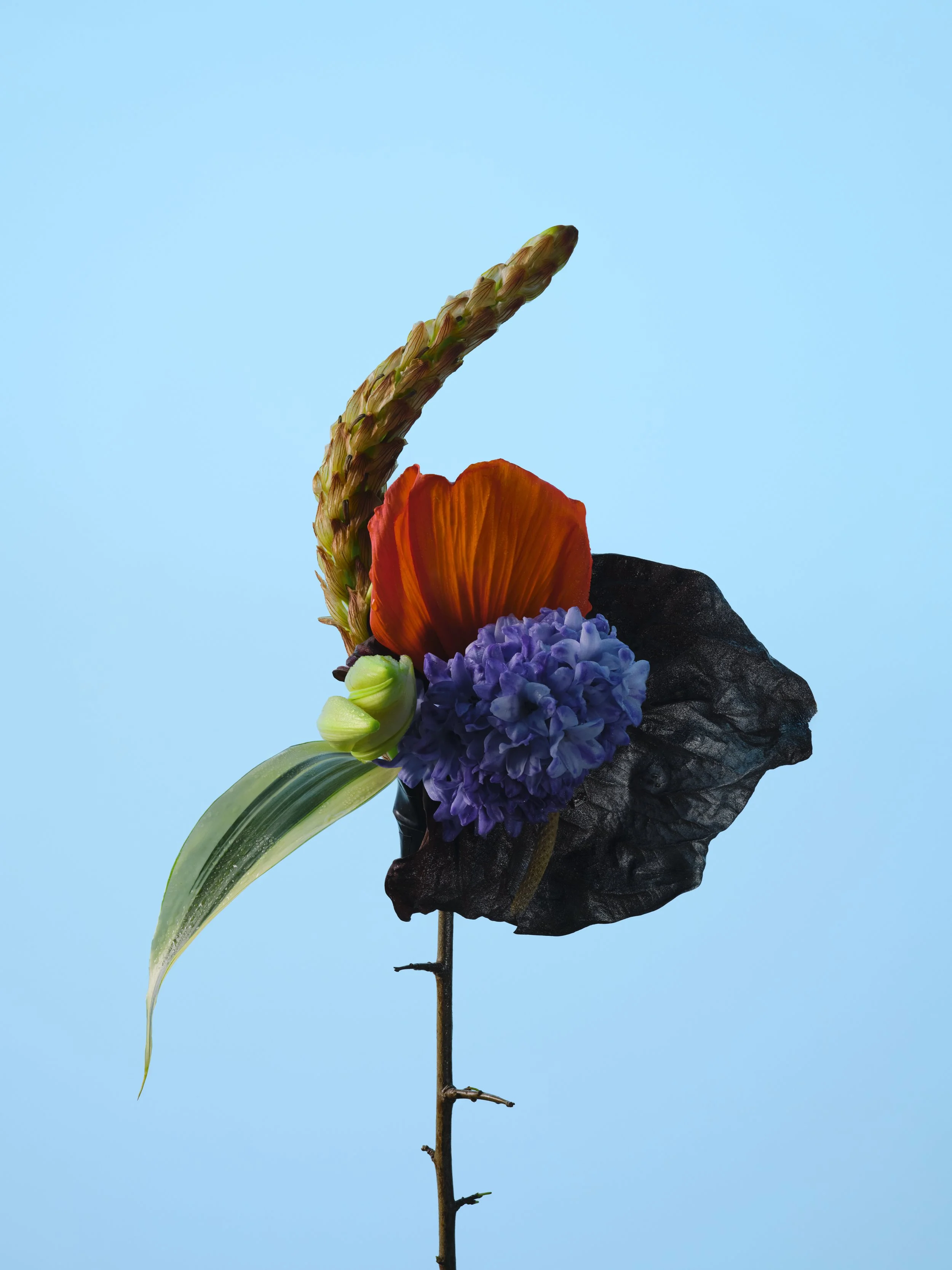 FLEURS-2520-FOCUS copie.jpg