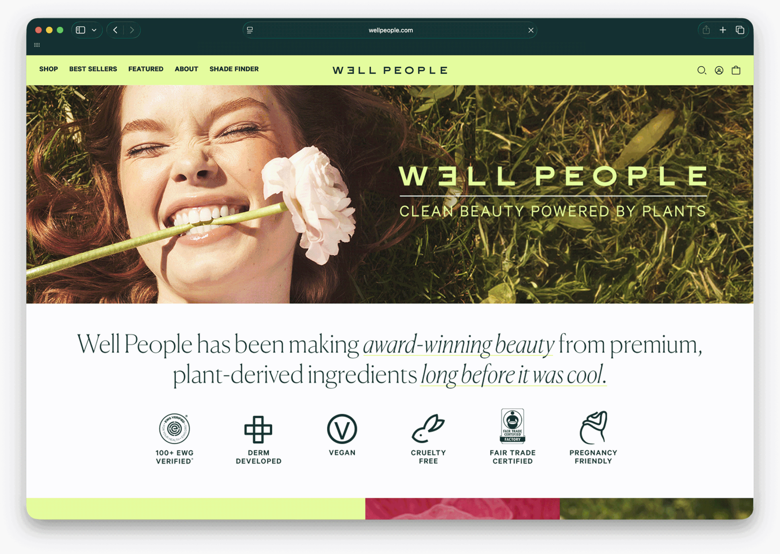 WP_website_mockup_rs_v2.gif